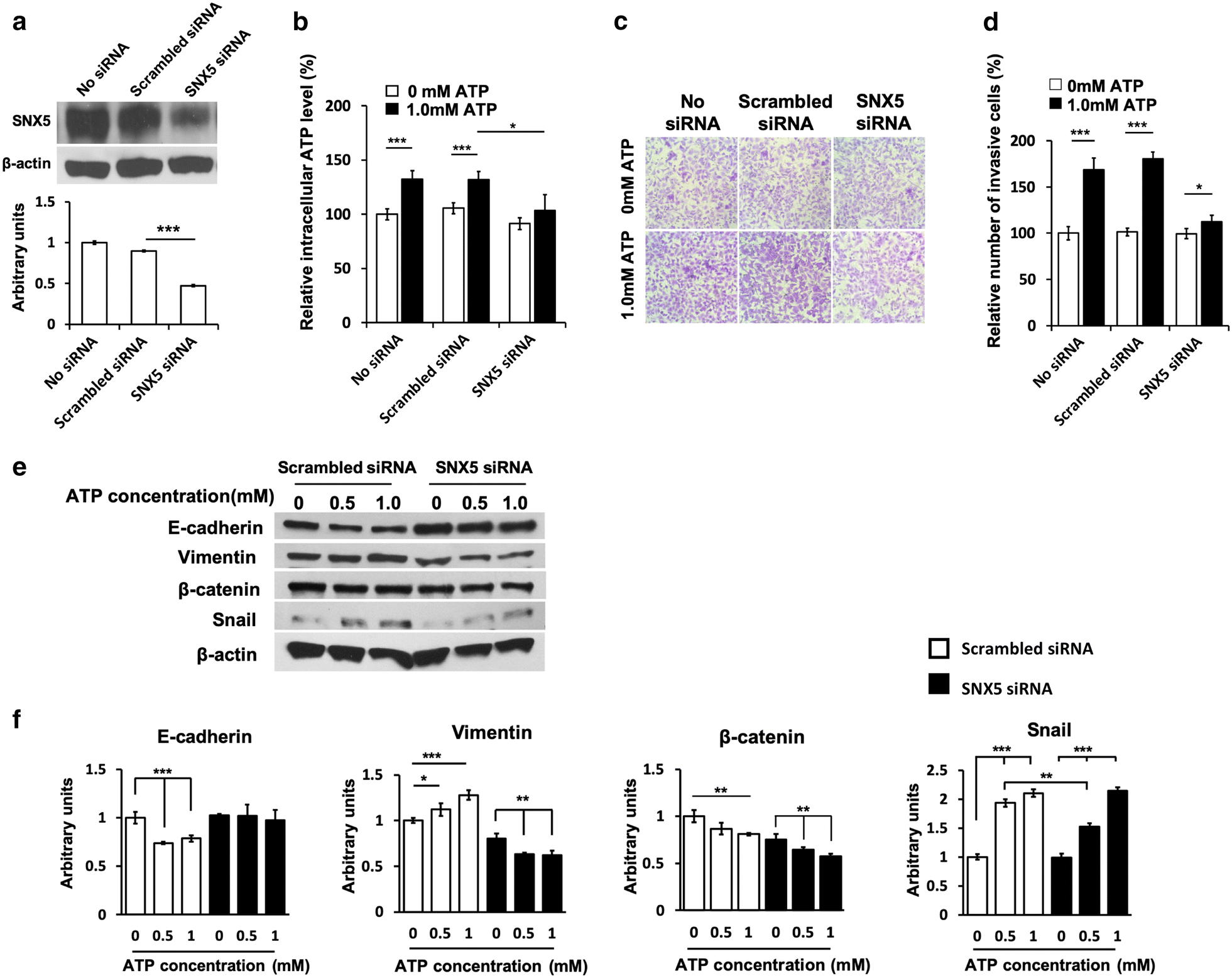 Fig. 5