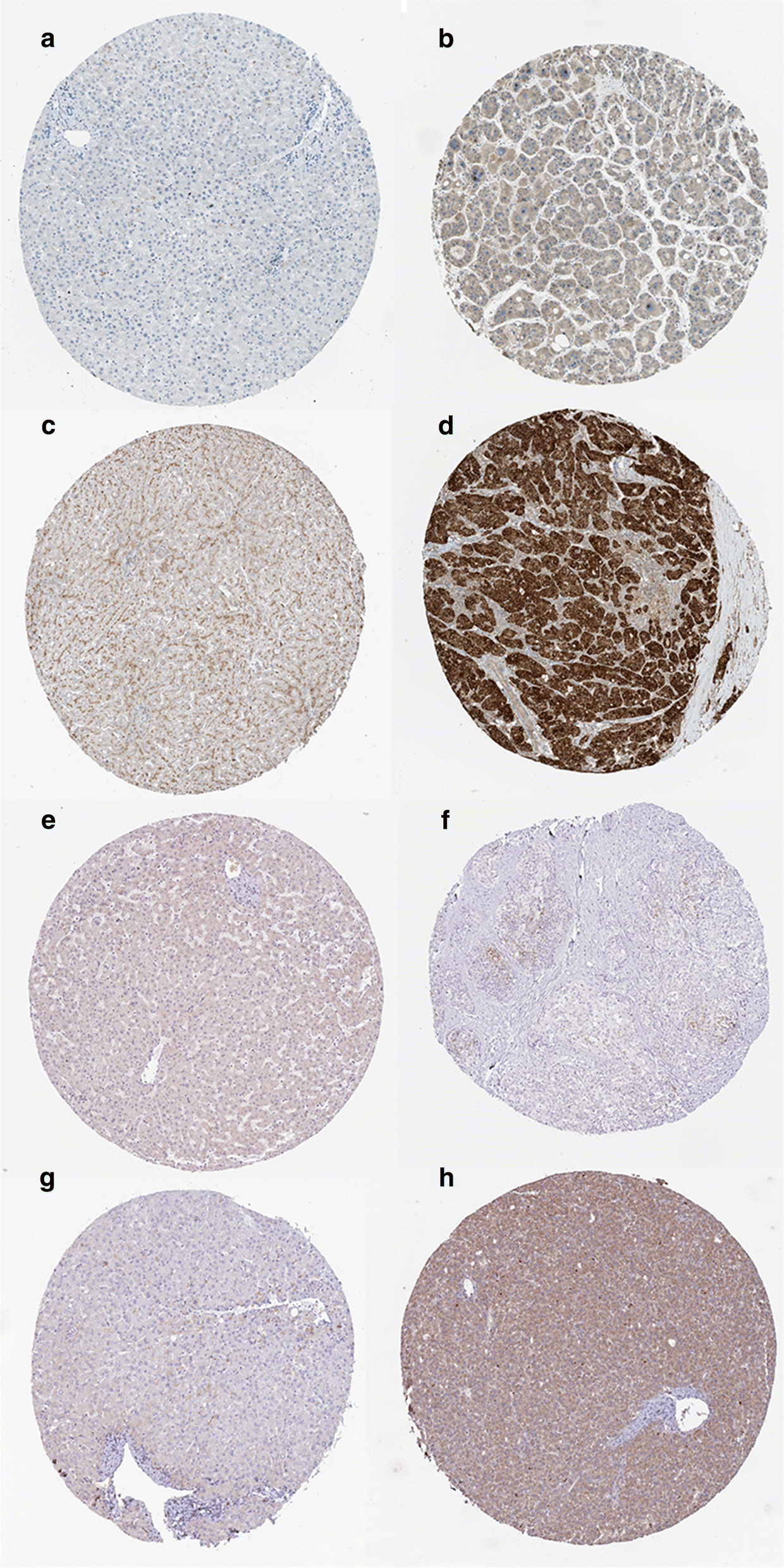 Fig. 9