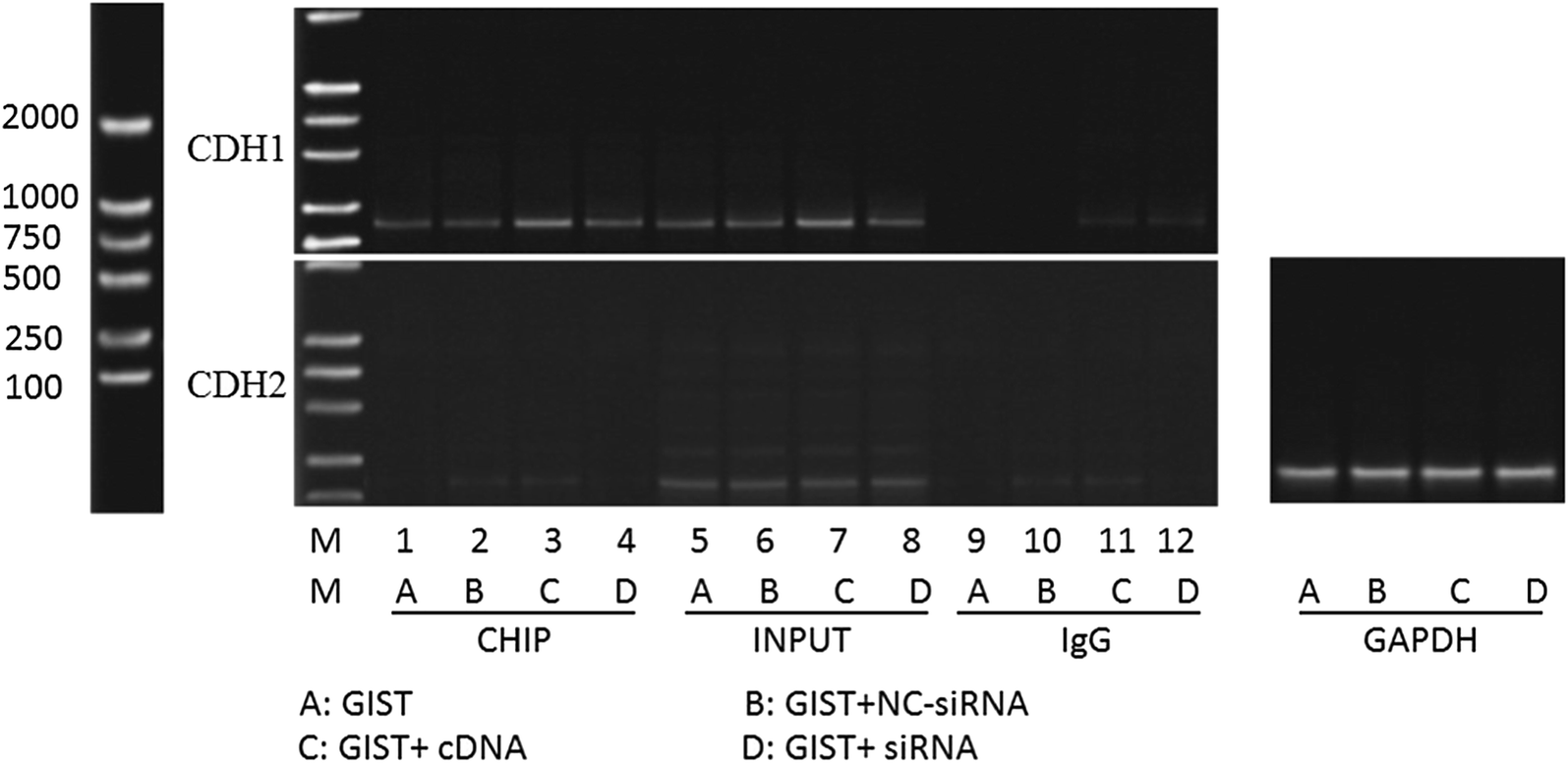 Fig. 10