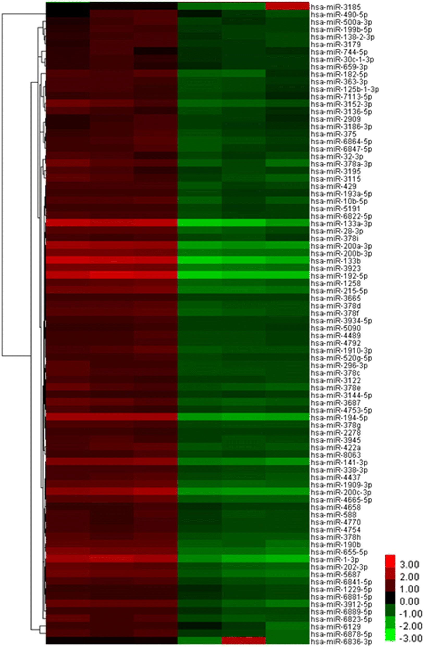 Fig. 3