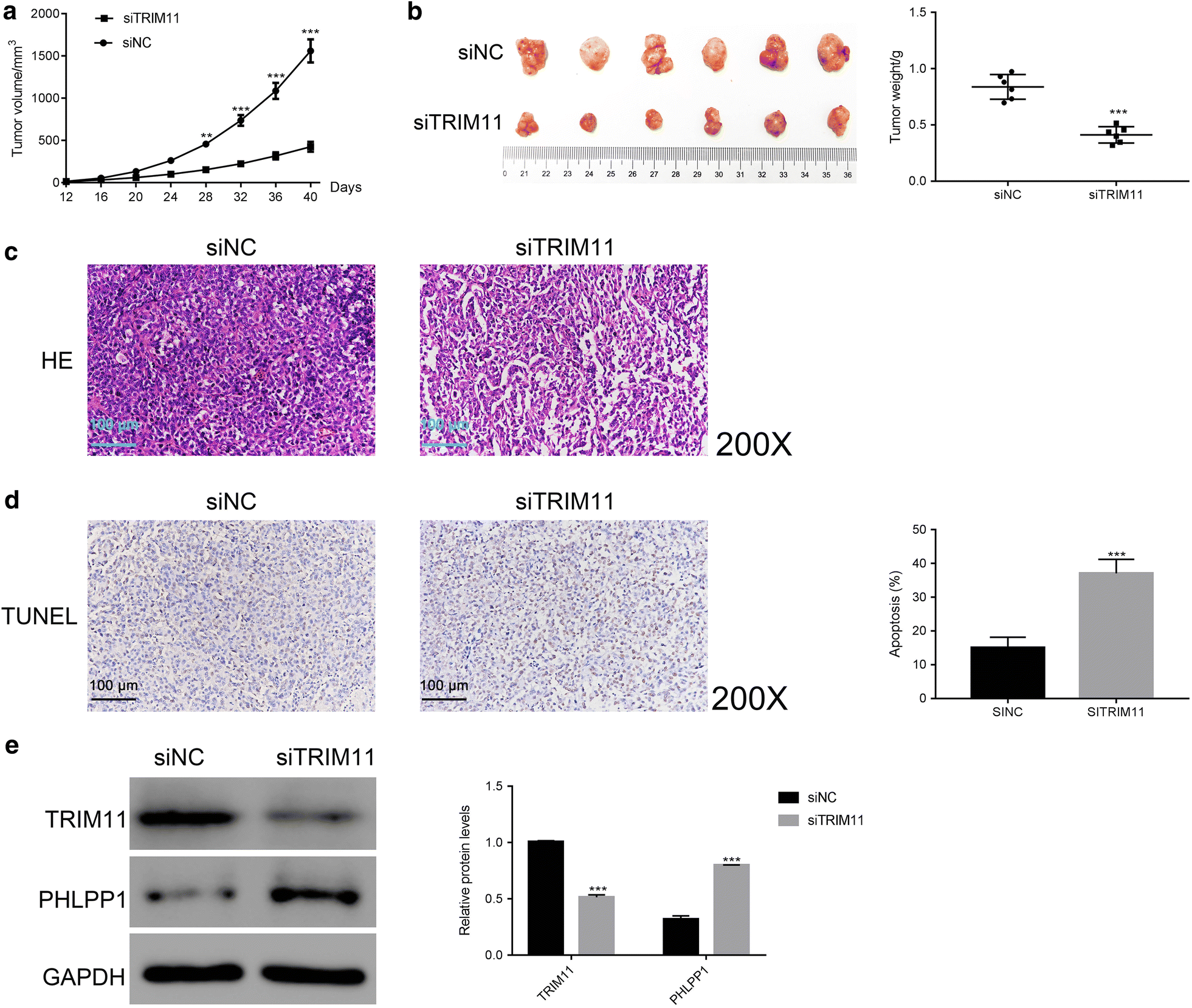 Fig. 7