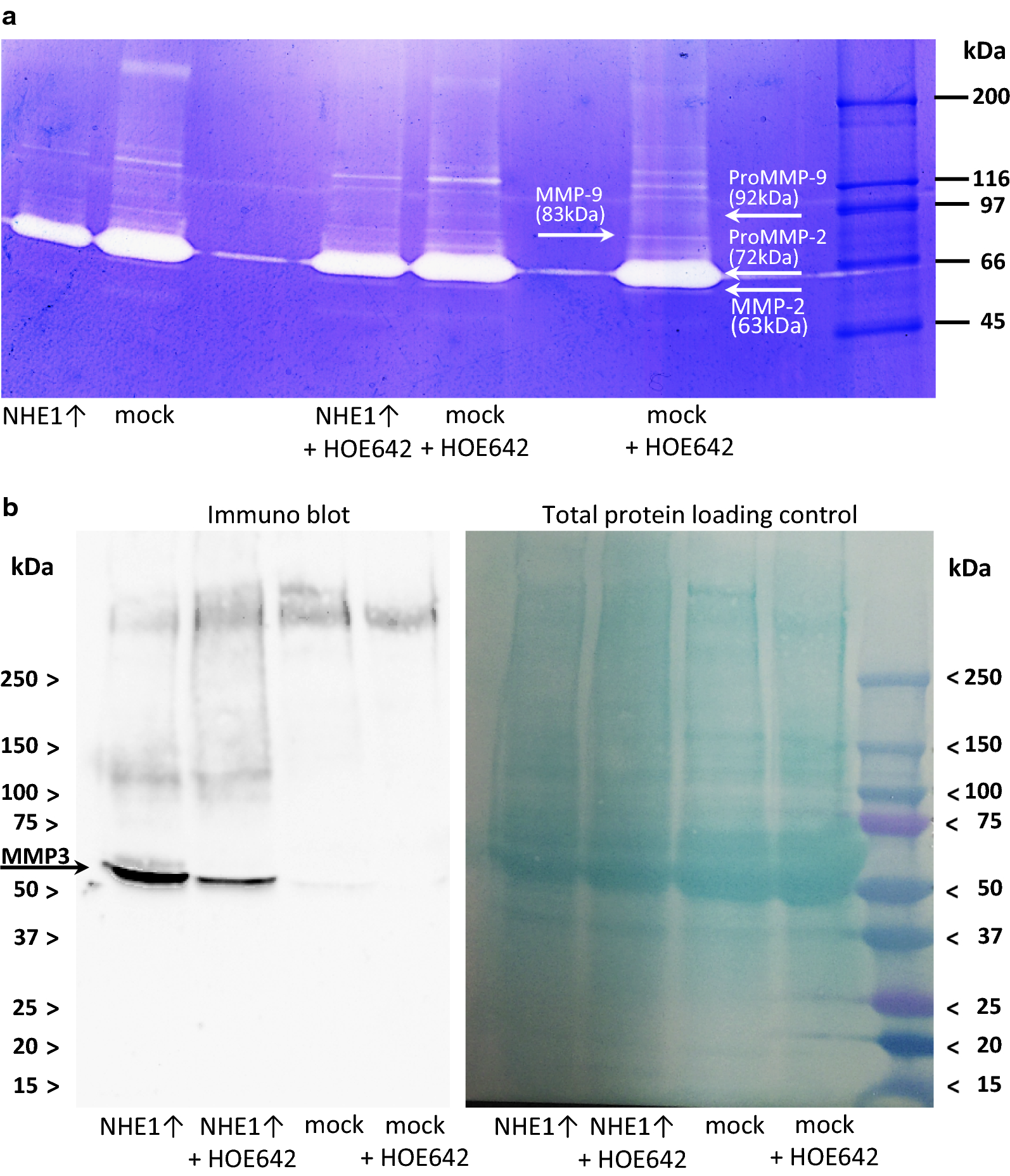 Fig. 9