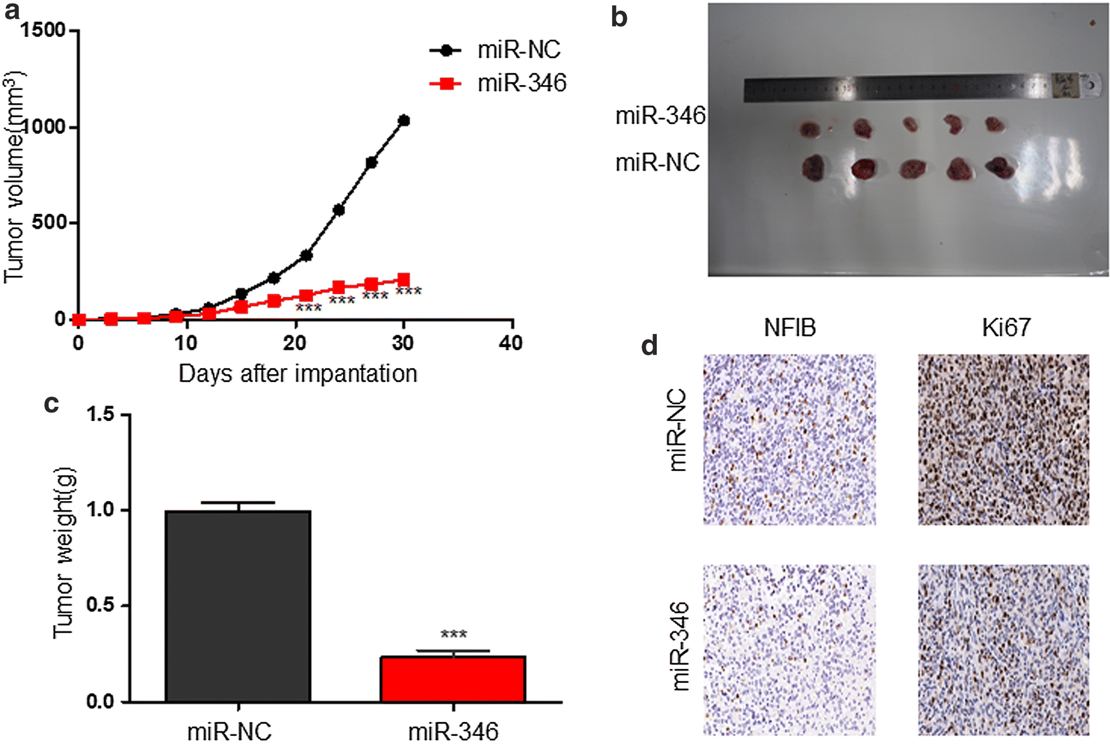 Fig. 5