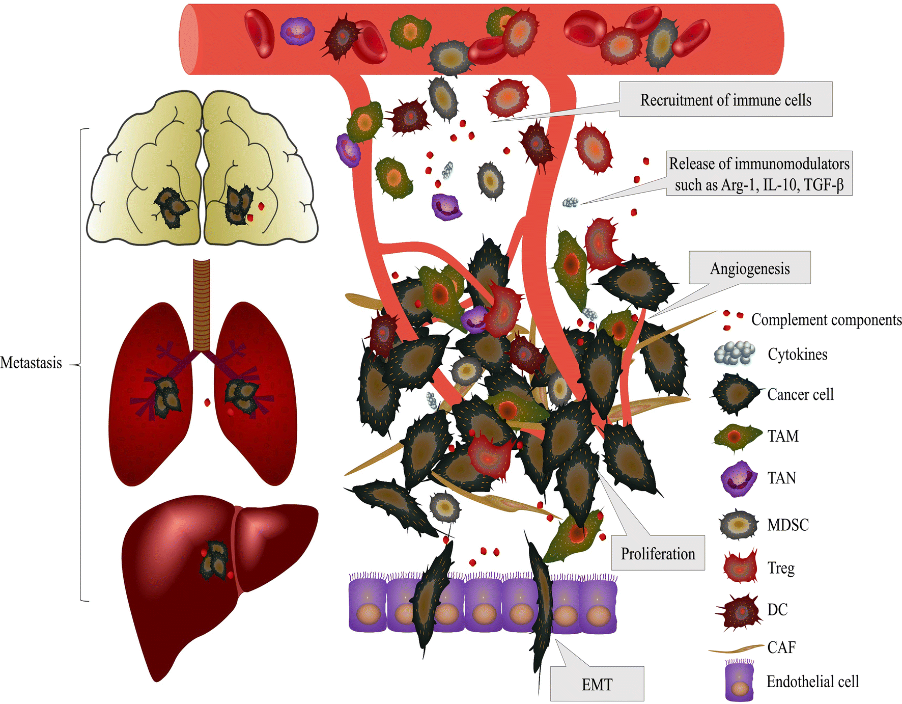 Fig. 2