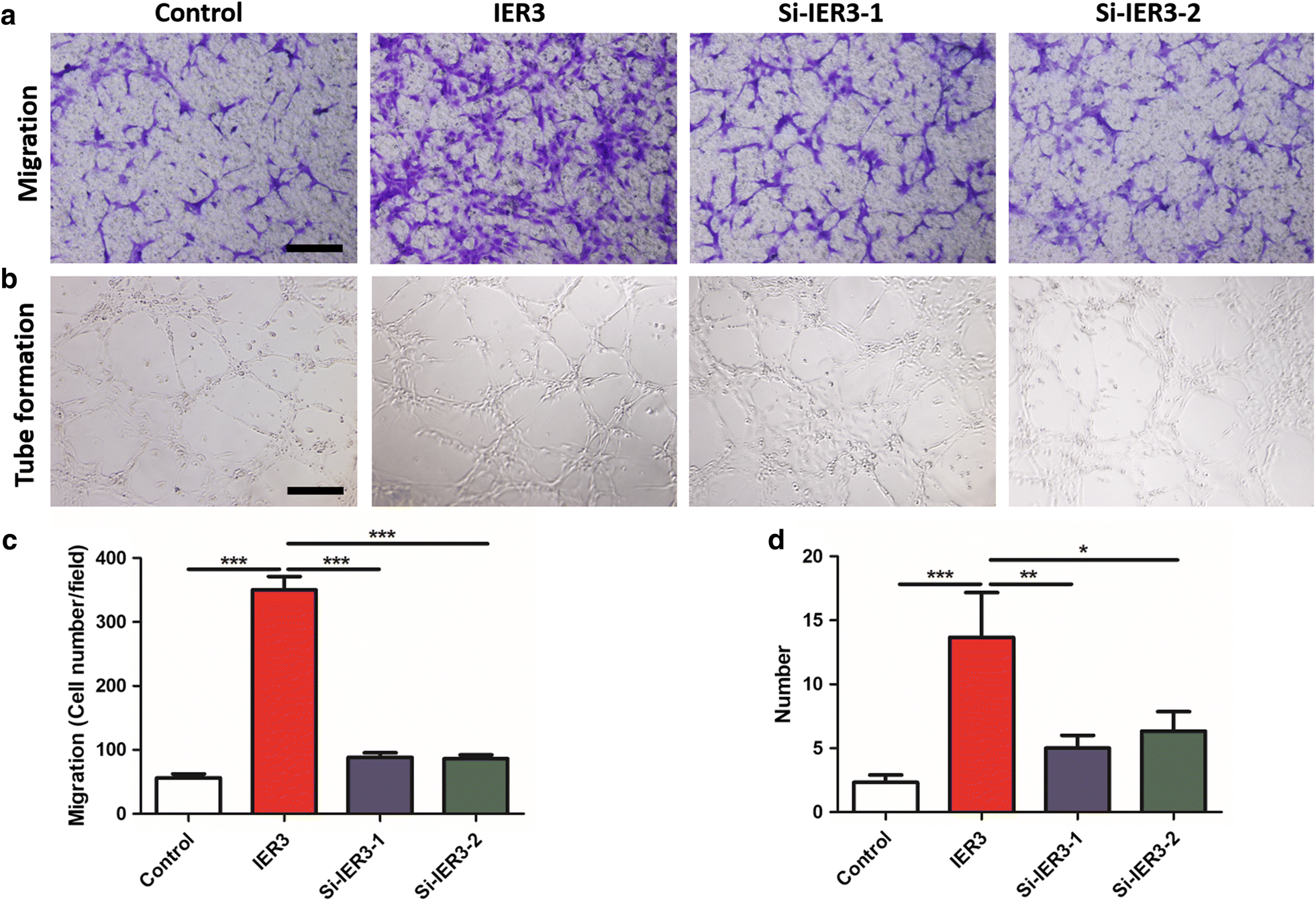 Fig. 7