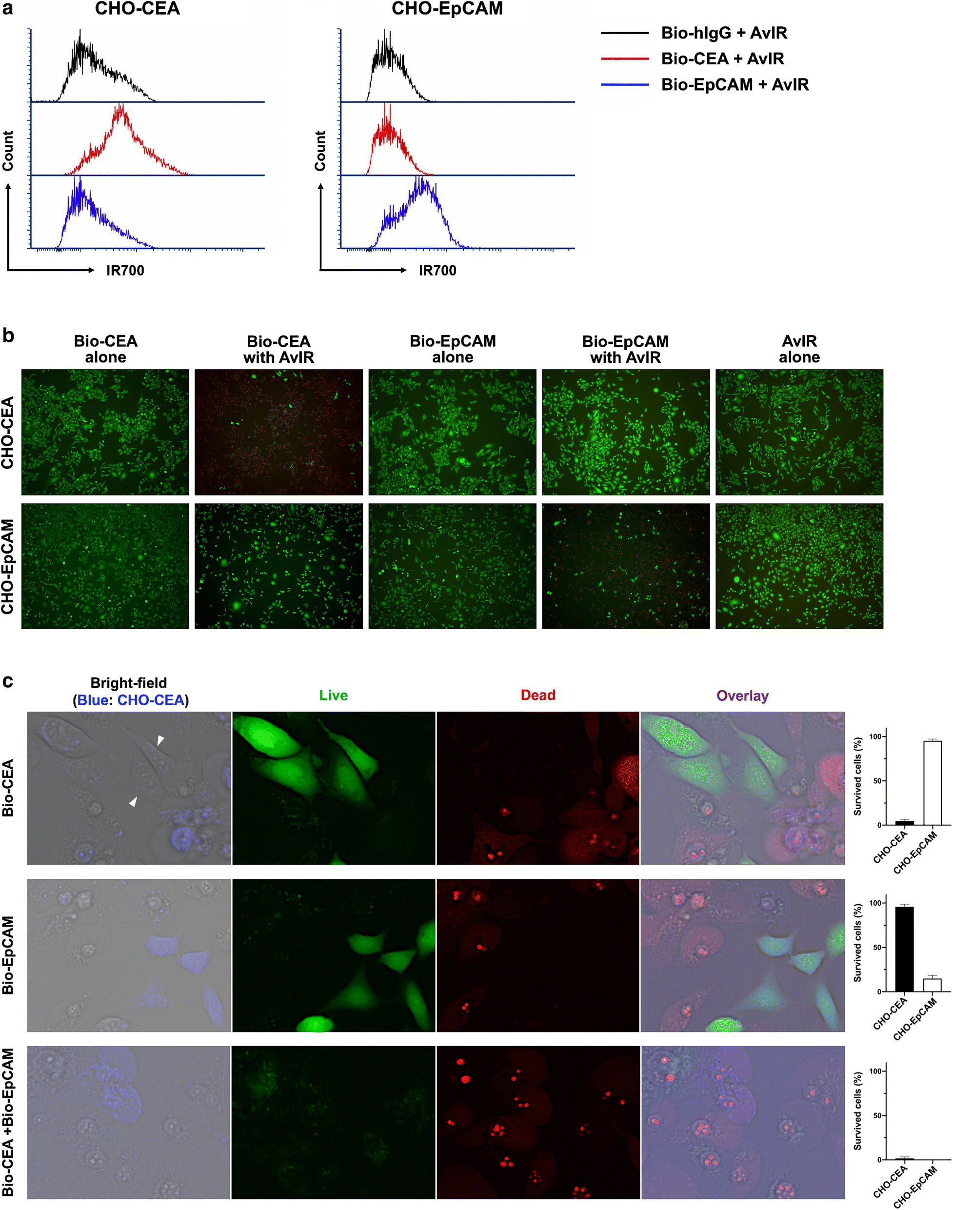 Fig. 2