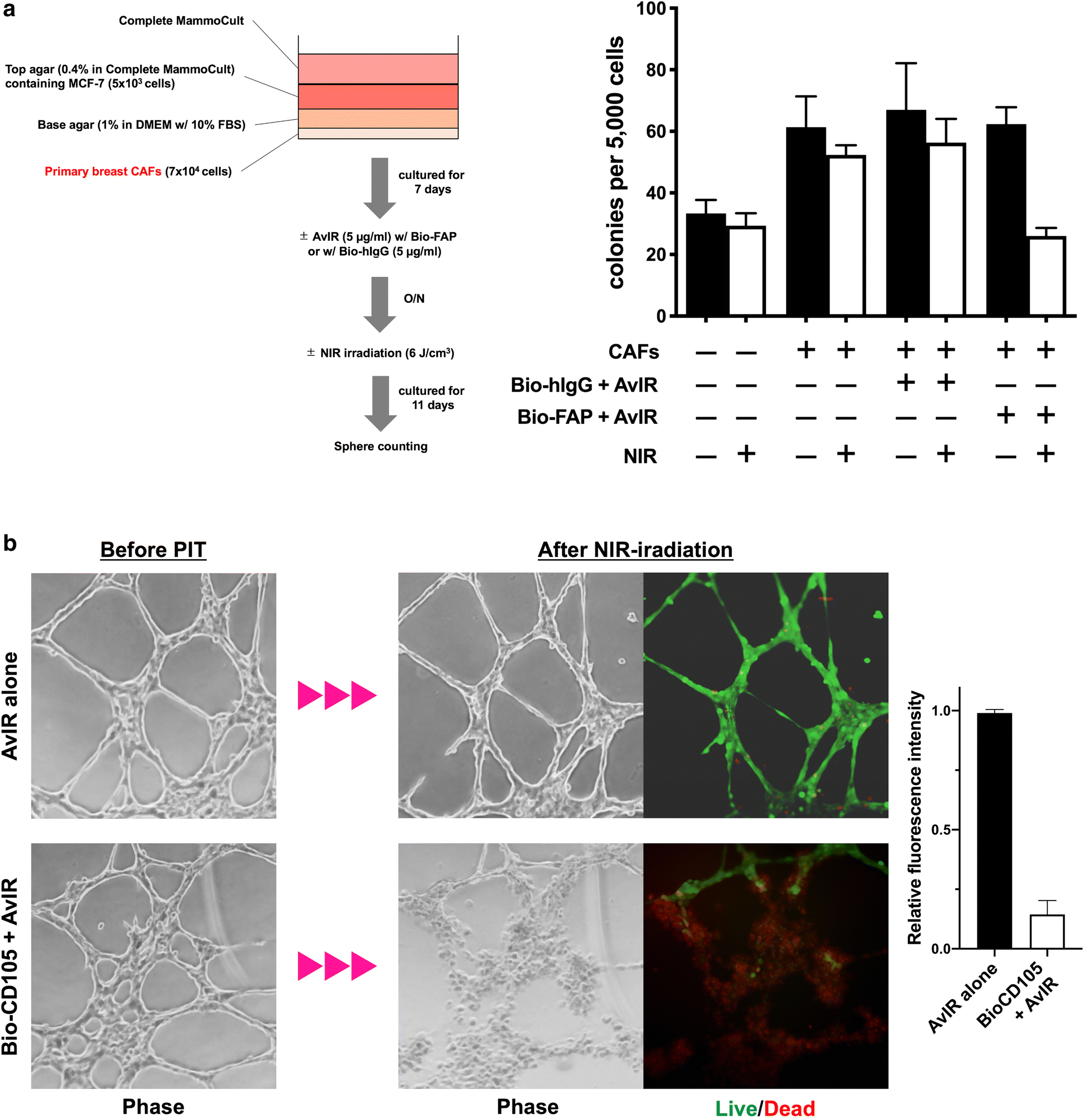 Fig. 6