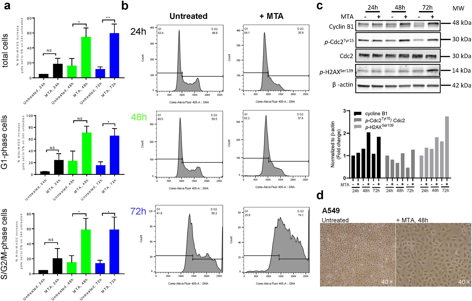 Fig. 2