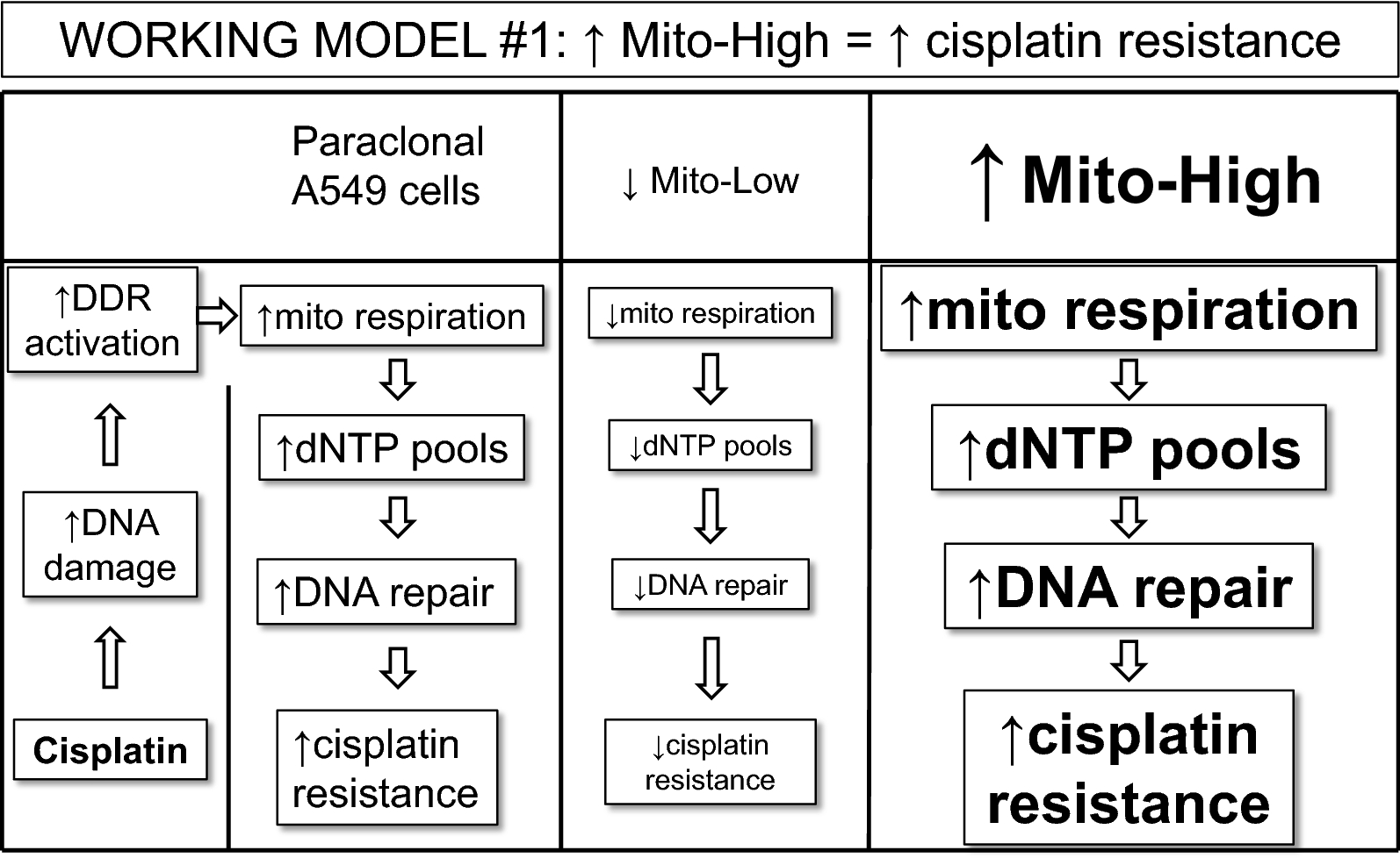 Fig. 7