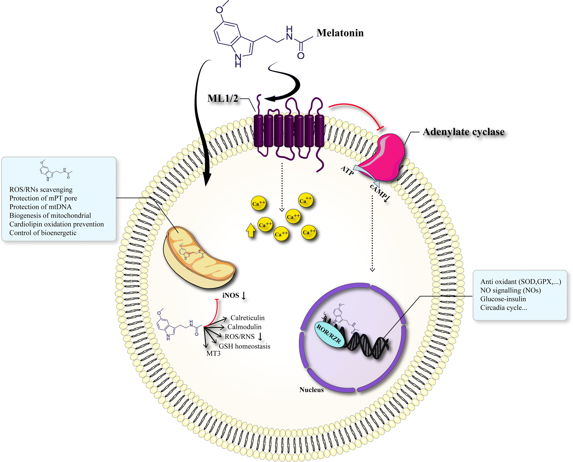 Fig. 2