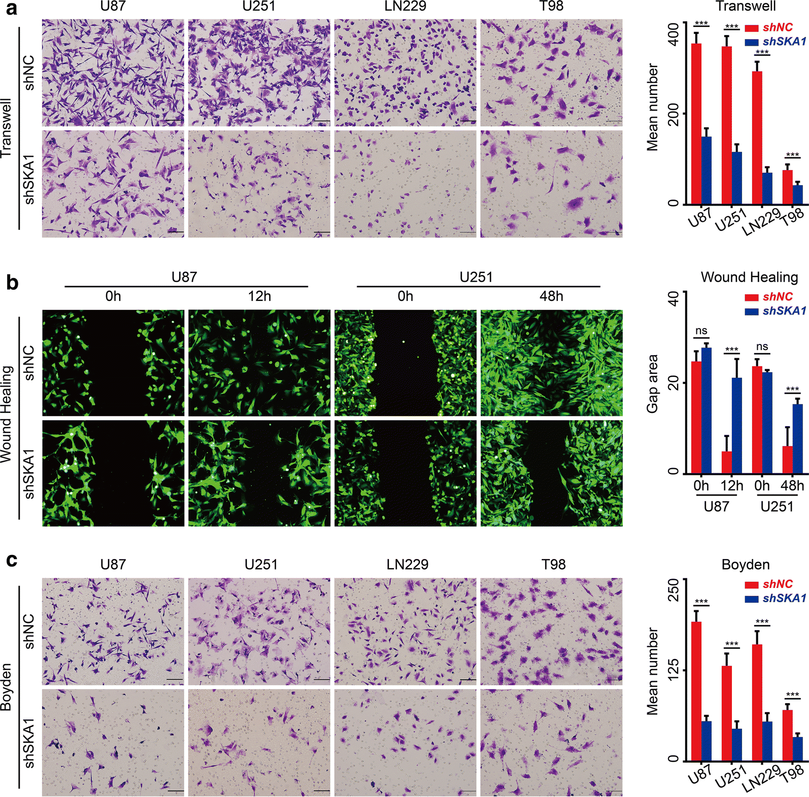 Fig. 4