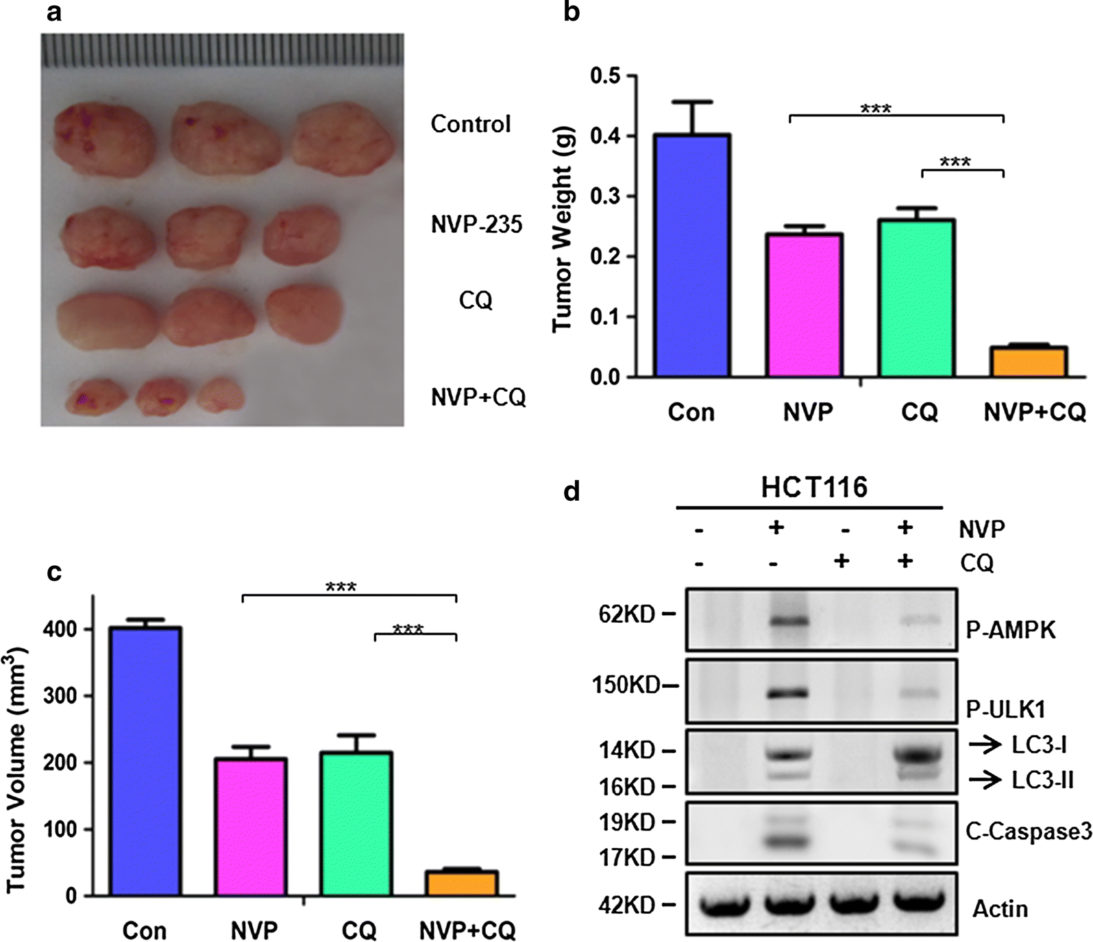 Fig. 5