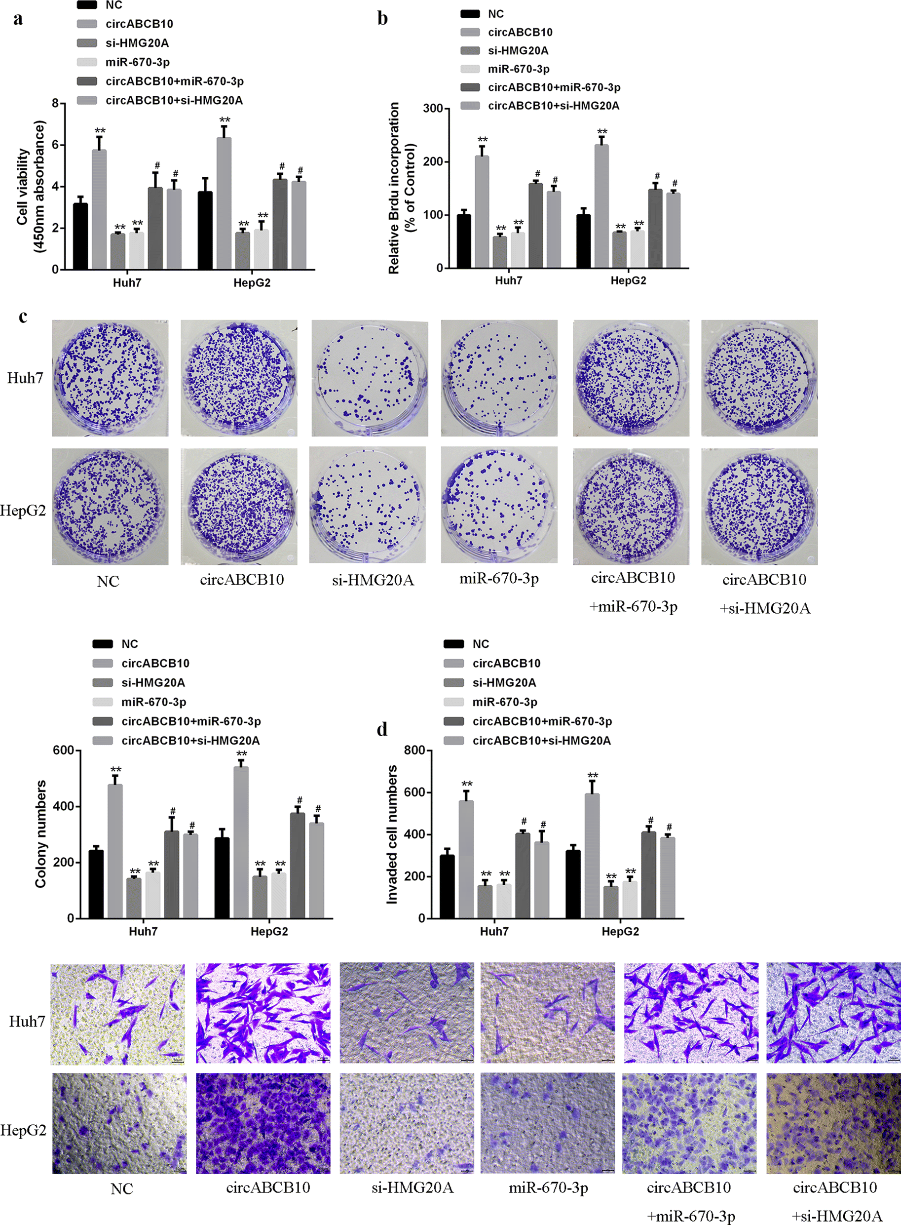 Fig. 5