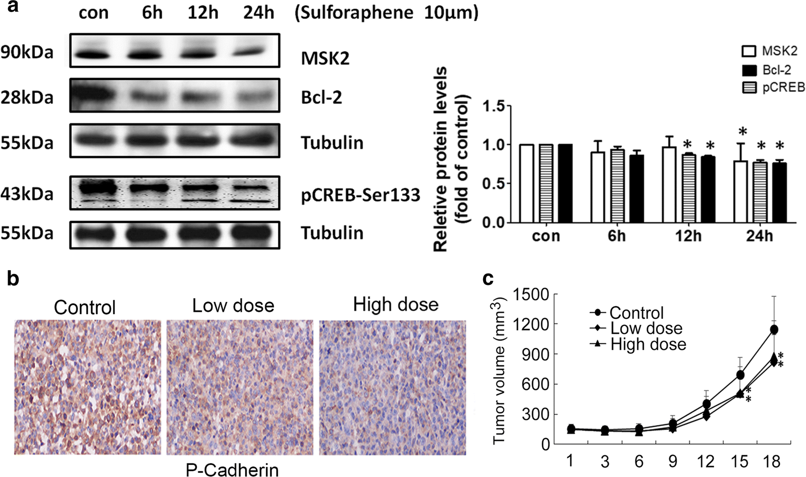 Fig. 4