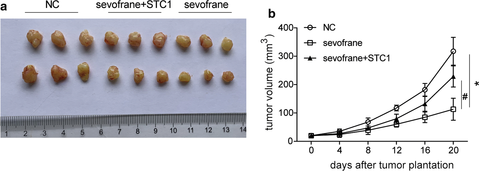 Fig. 7