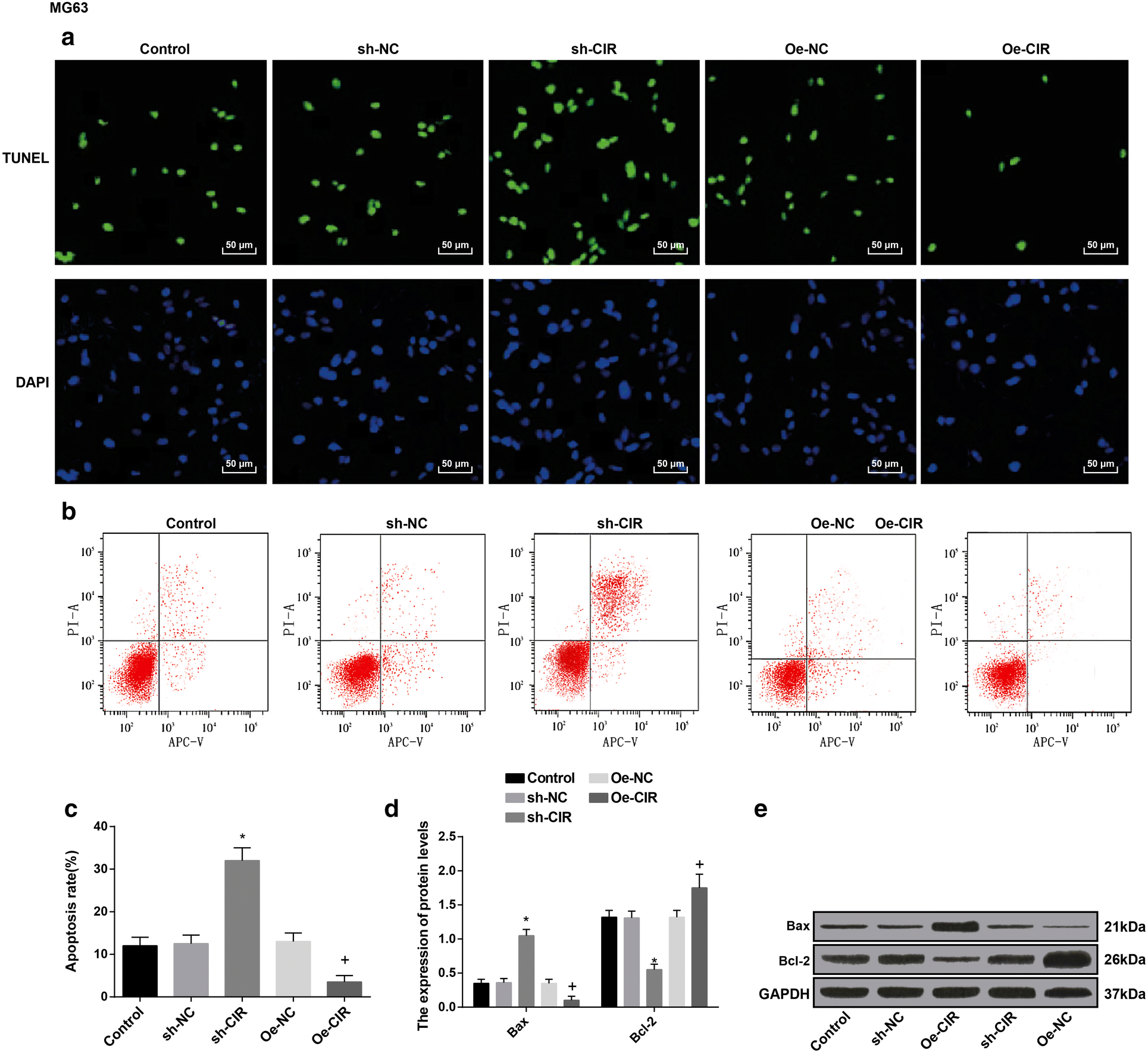 Fig. 4