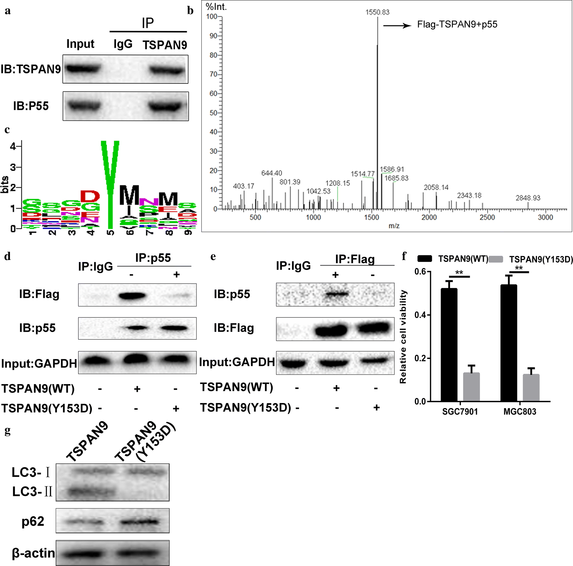 Fig. 6