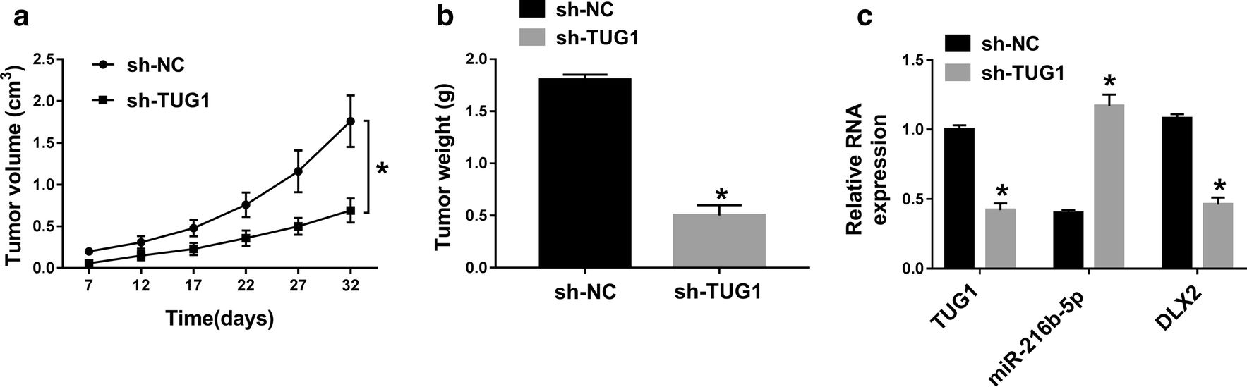 Fig. 7