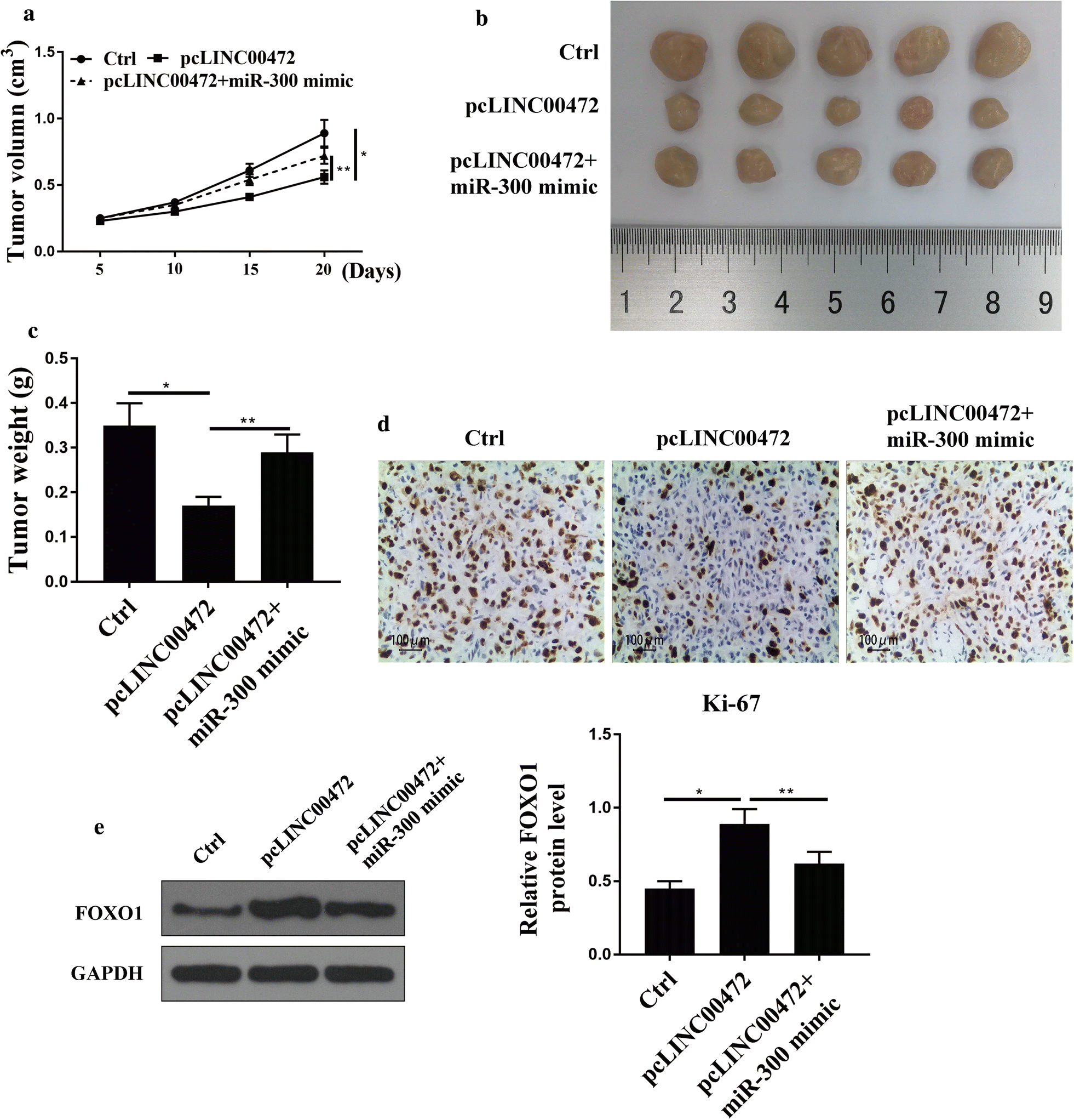 Fig. 6