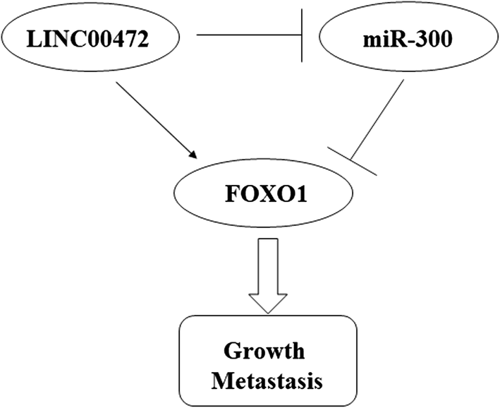 Fig. 7