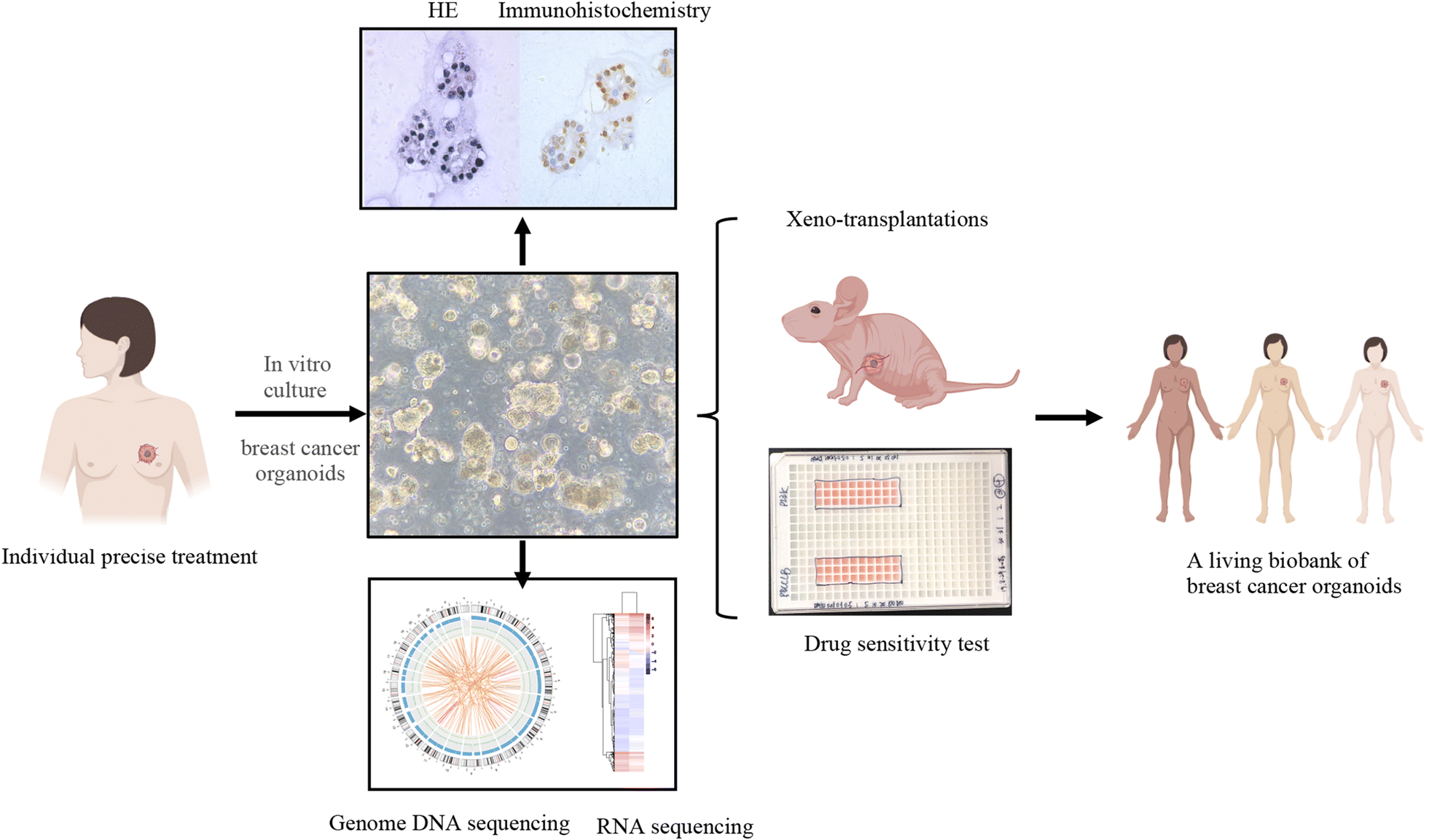 Fig. 6