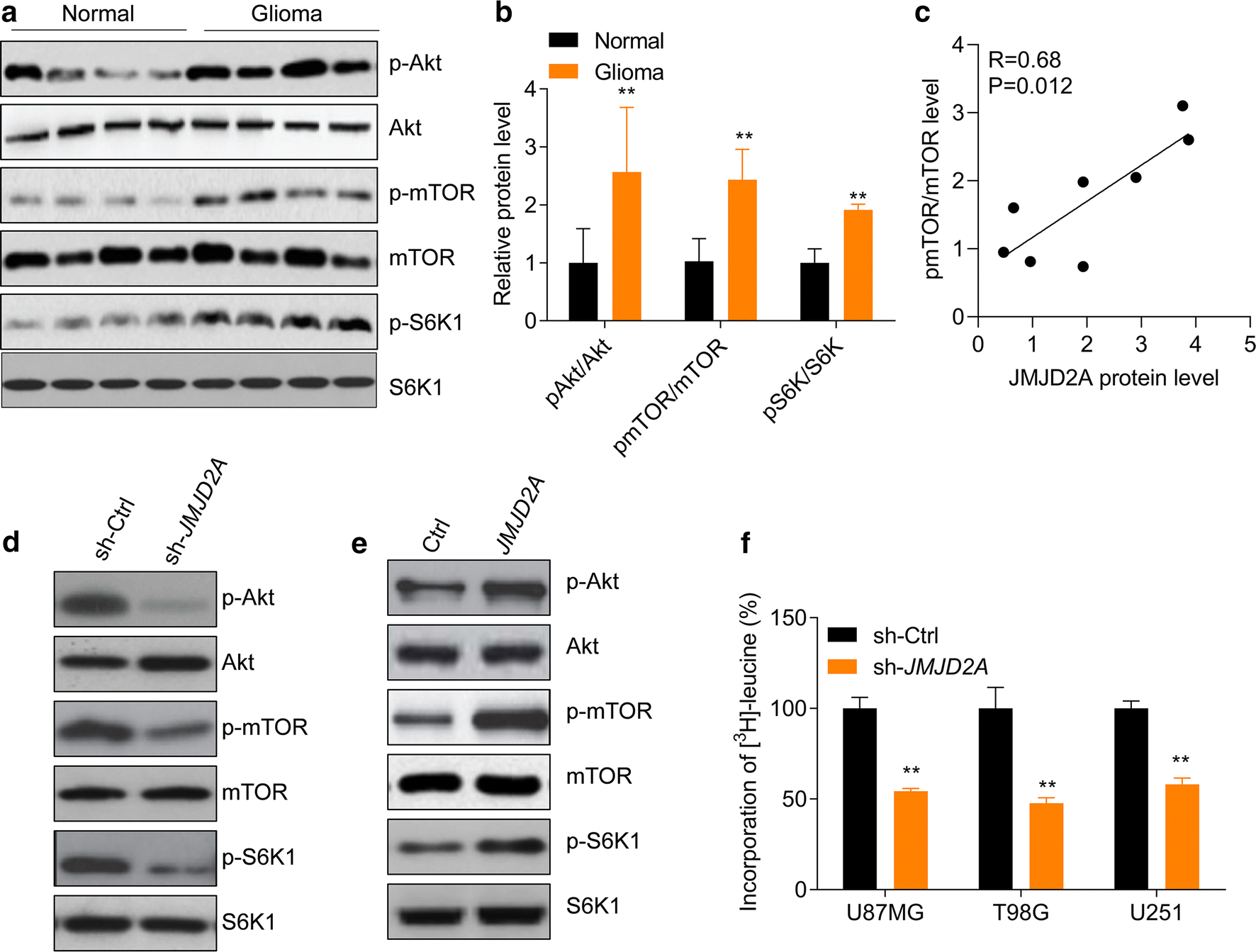 Fig. 5