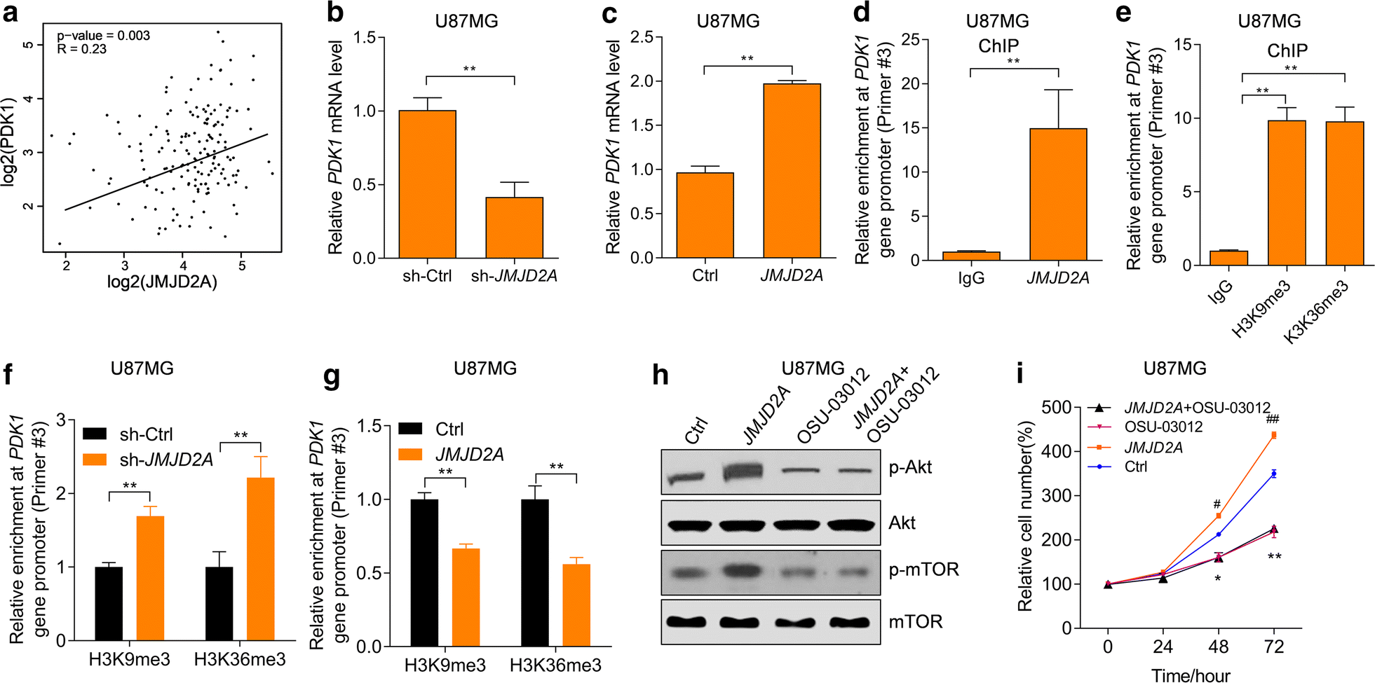 Fig. 7