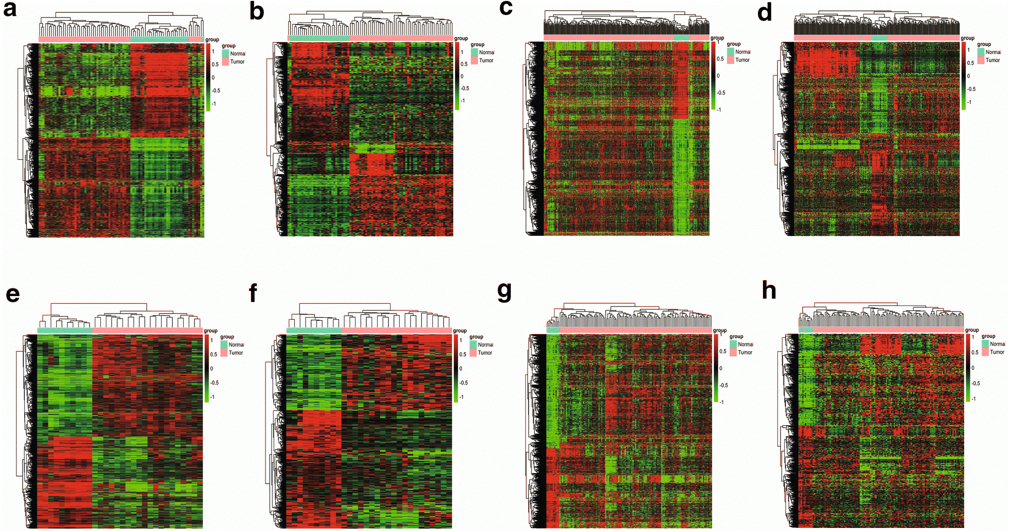 Fig. 2