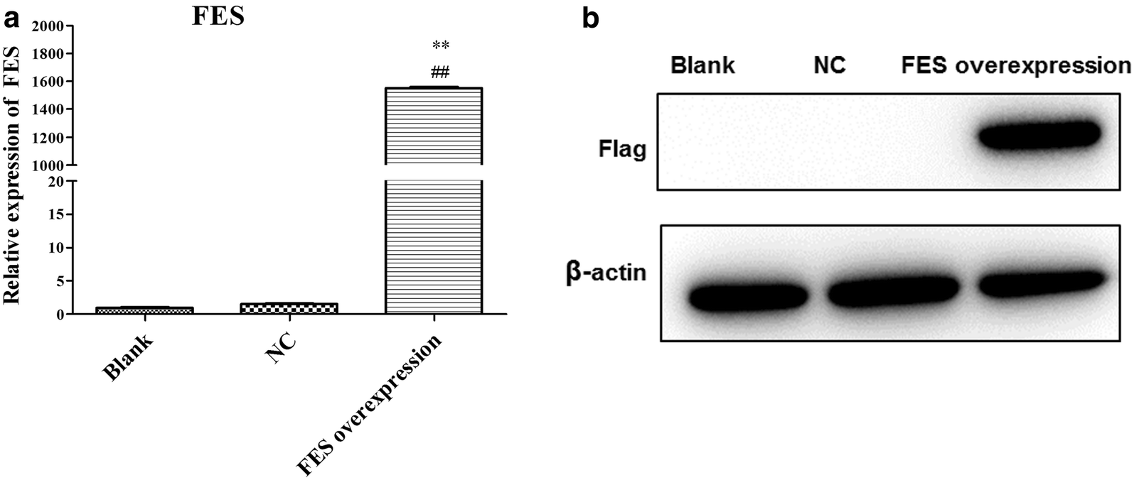 Fig. 6