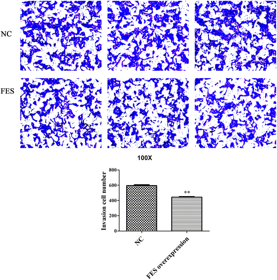 Fig. 9