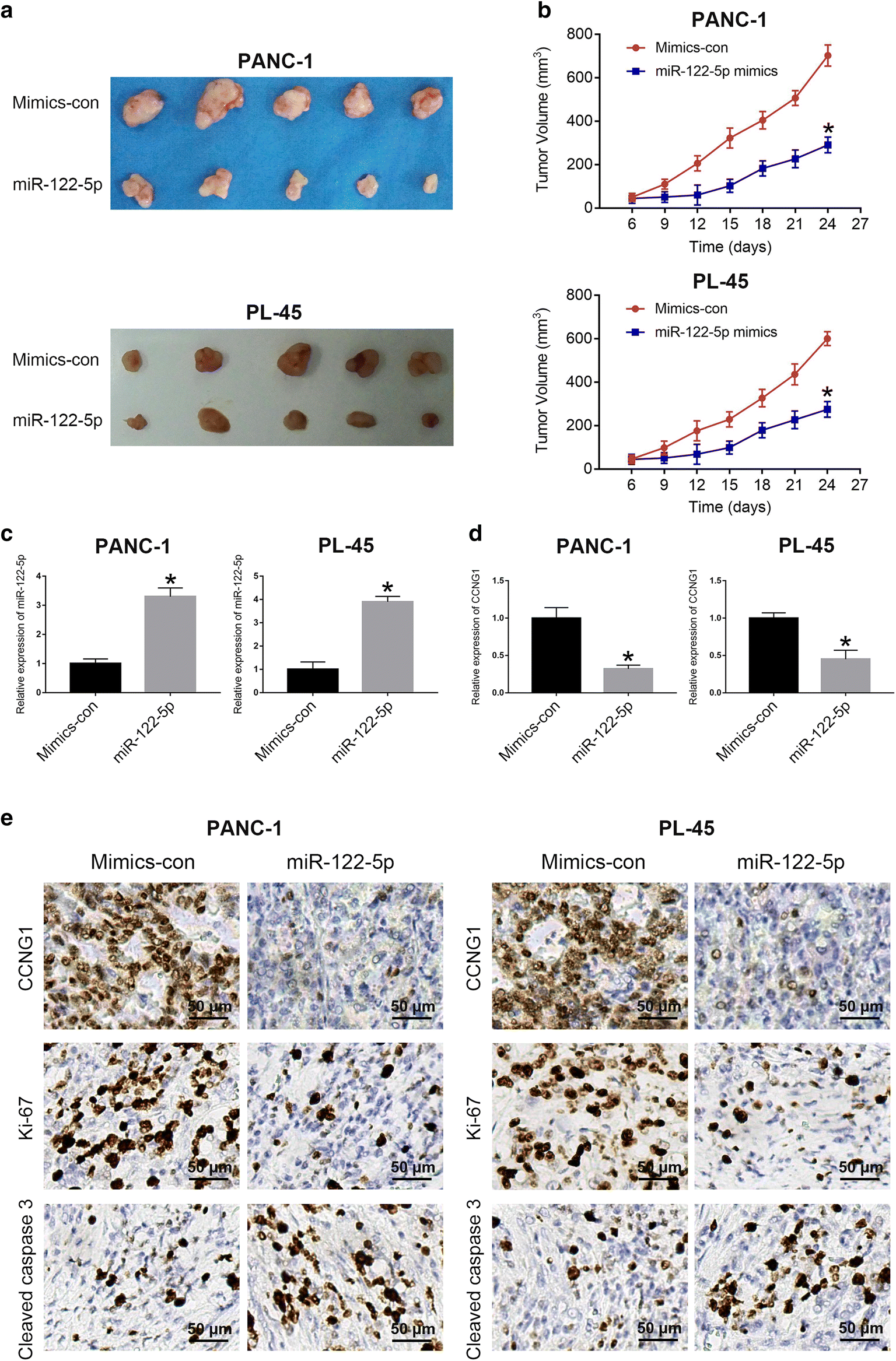 Fig. 8