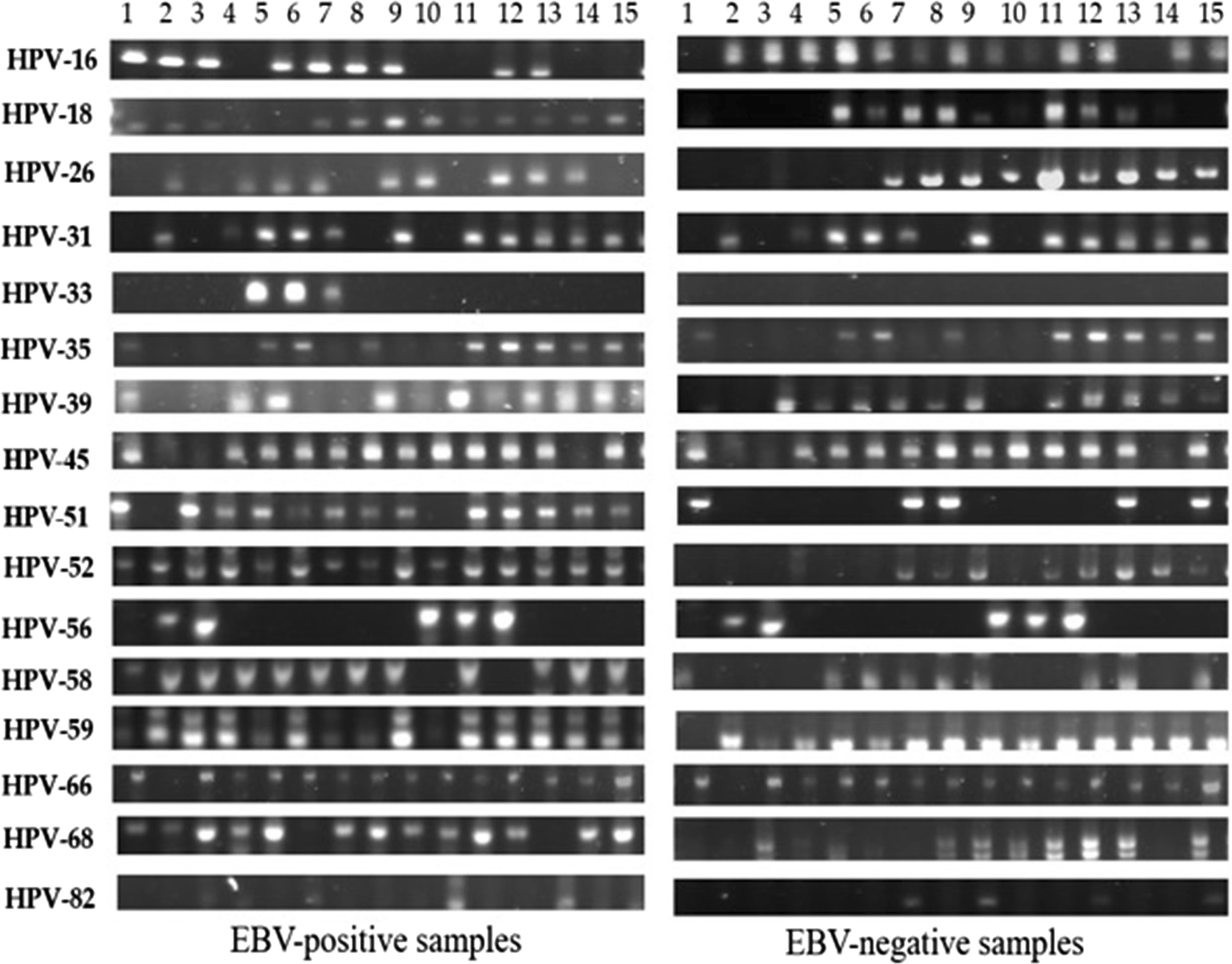 Fig. 2