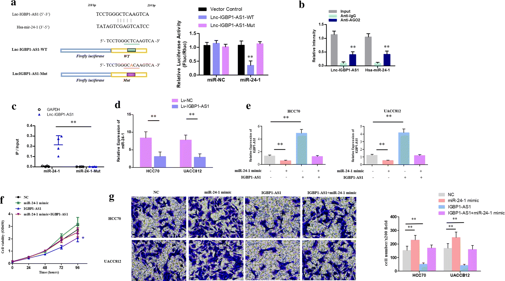 Fig. 4