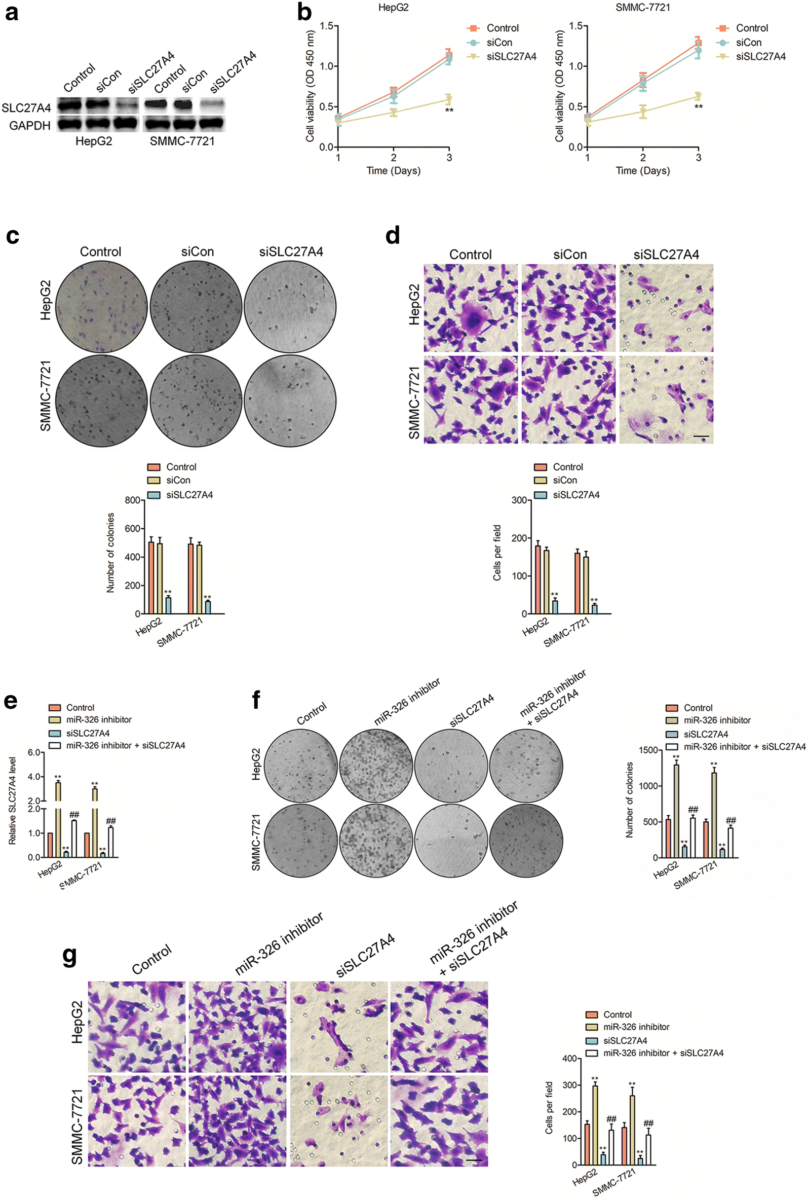 Fig. 7