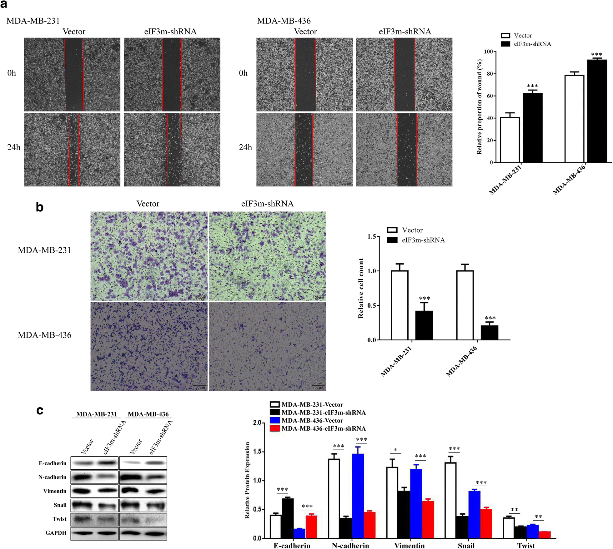 Fig. 6