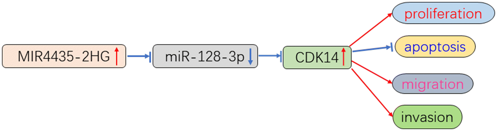 Fig. 11