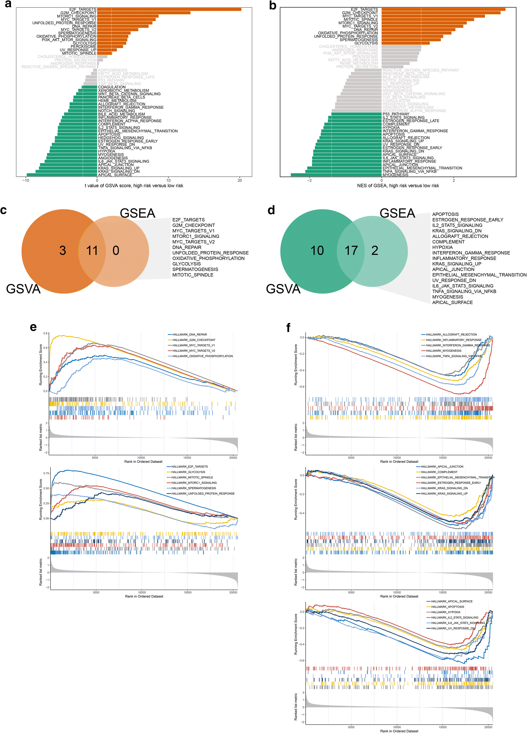 Fig. 7