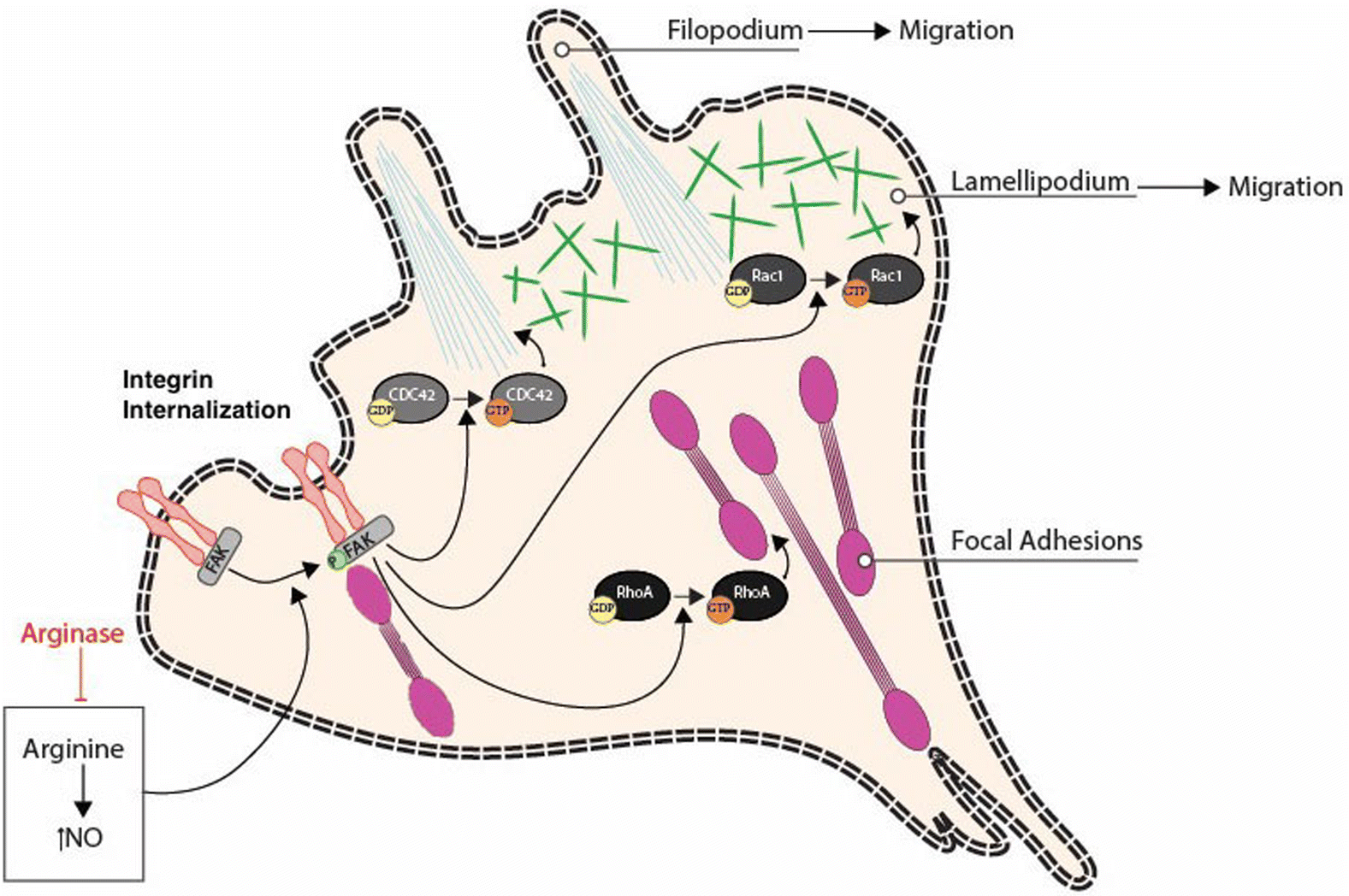 Fig. 2