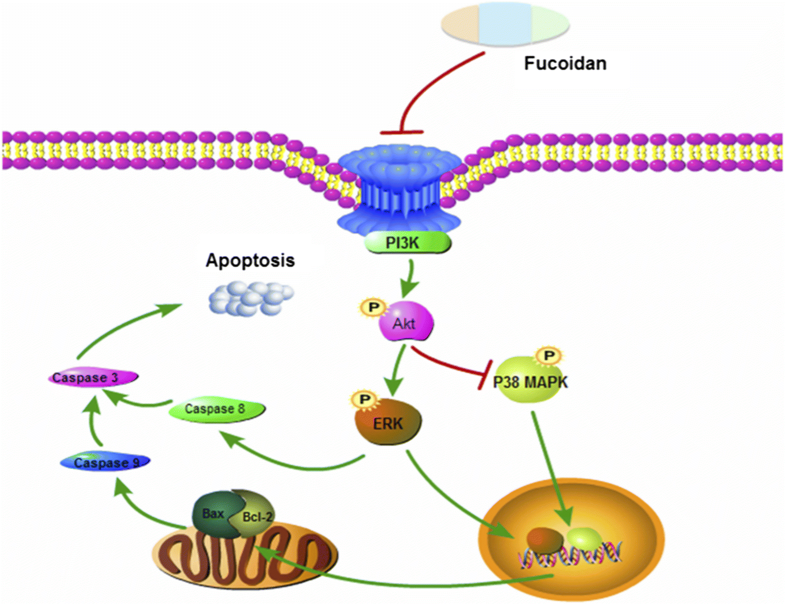 Fig. 3