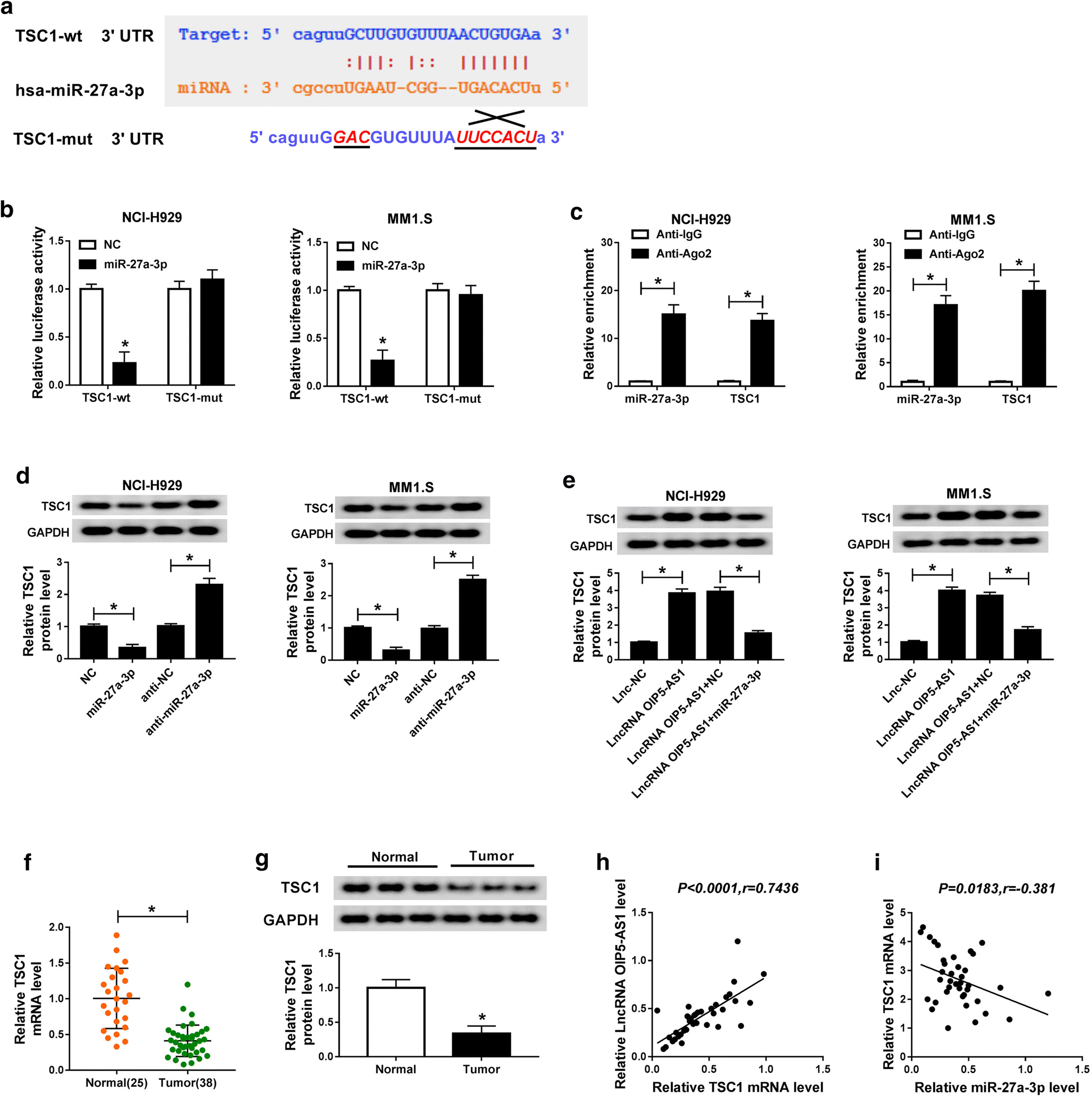 Fig. 5