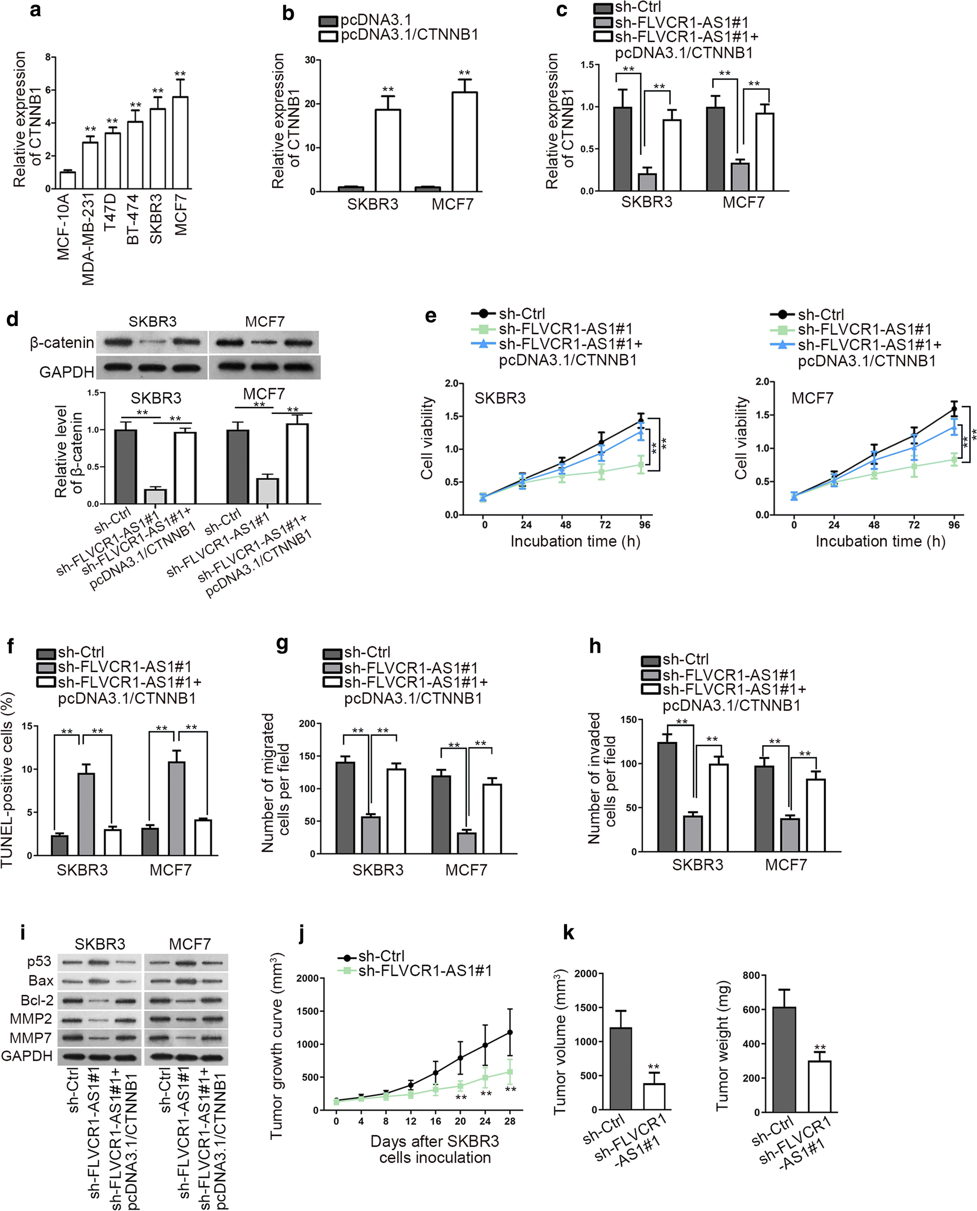 Fig. 5