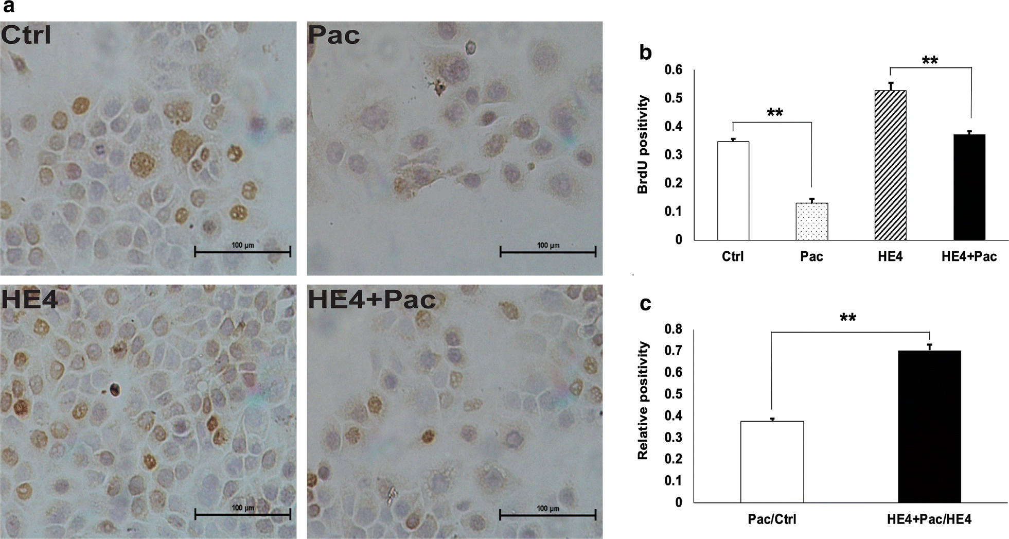 Fig. 5