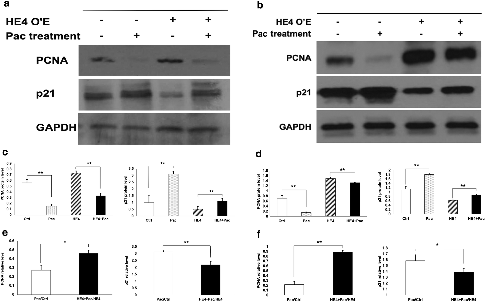 Fig. 6