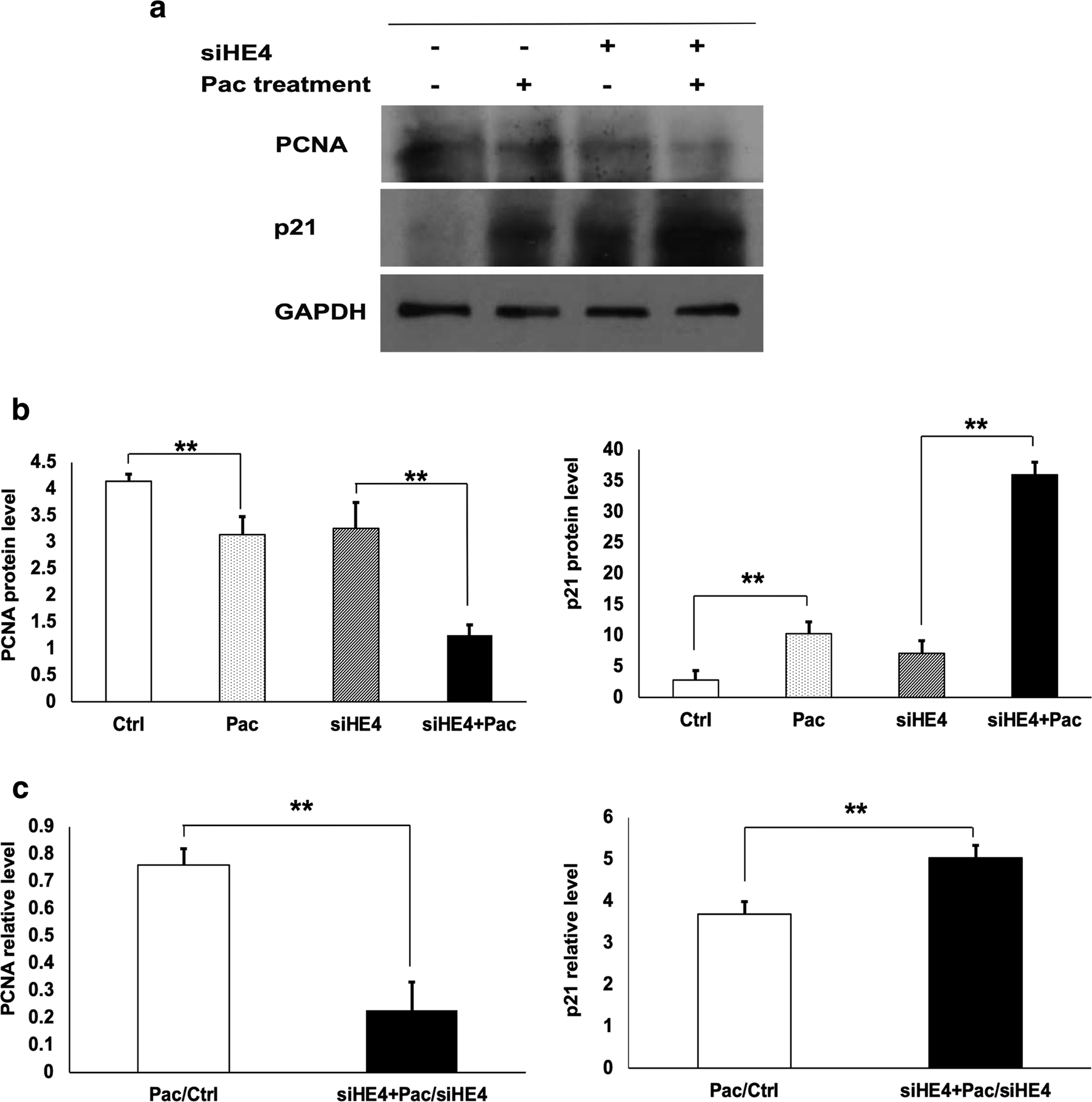 Fig. 8