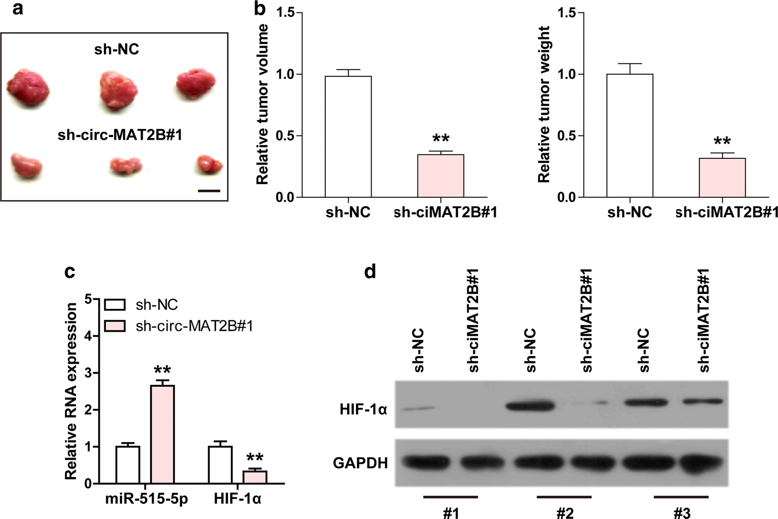 Fig. 6