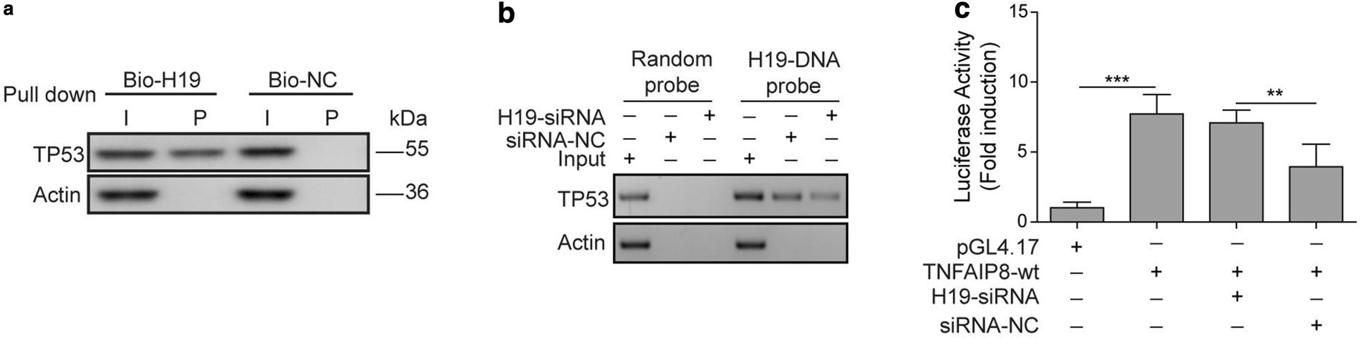 Fig. 5