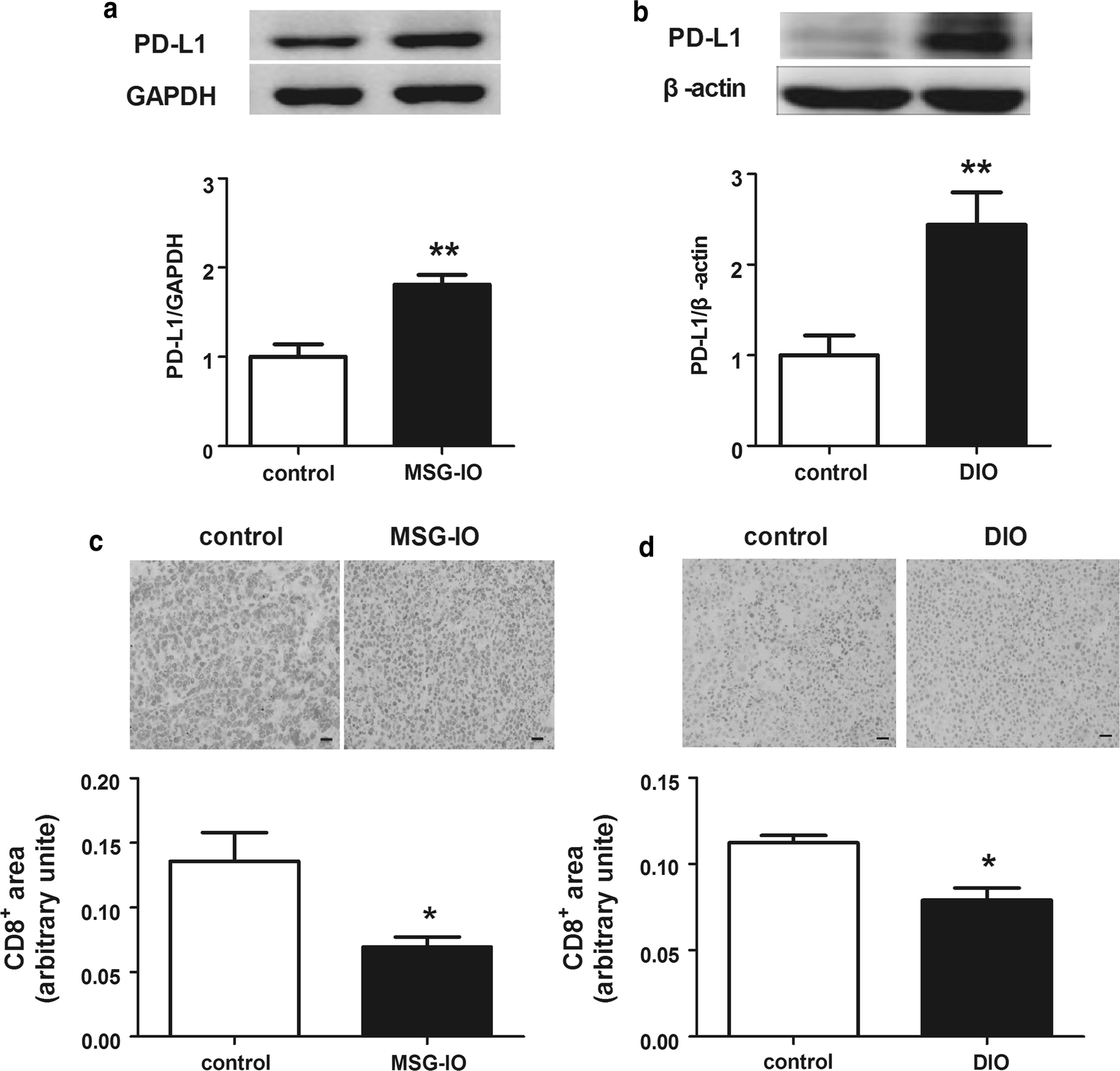 Fig. 2