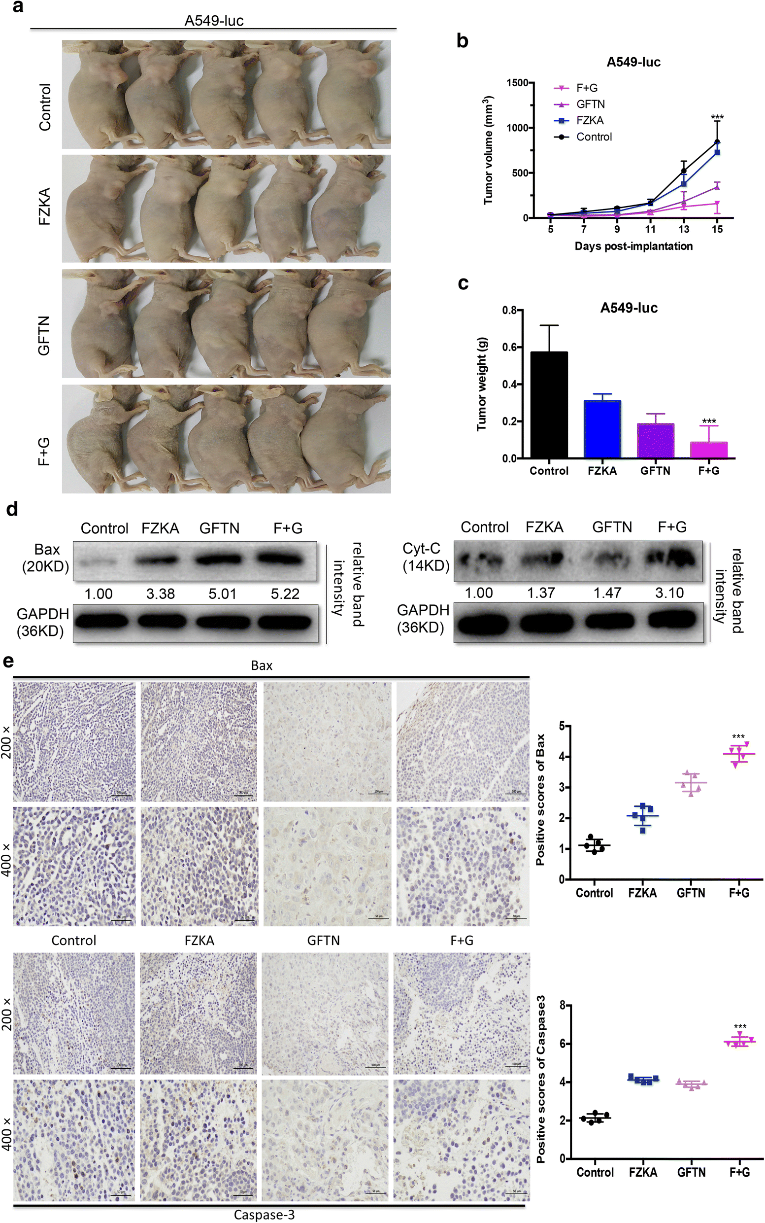 Fig. 6