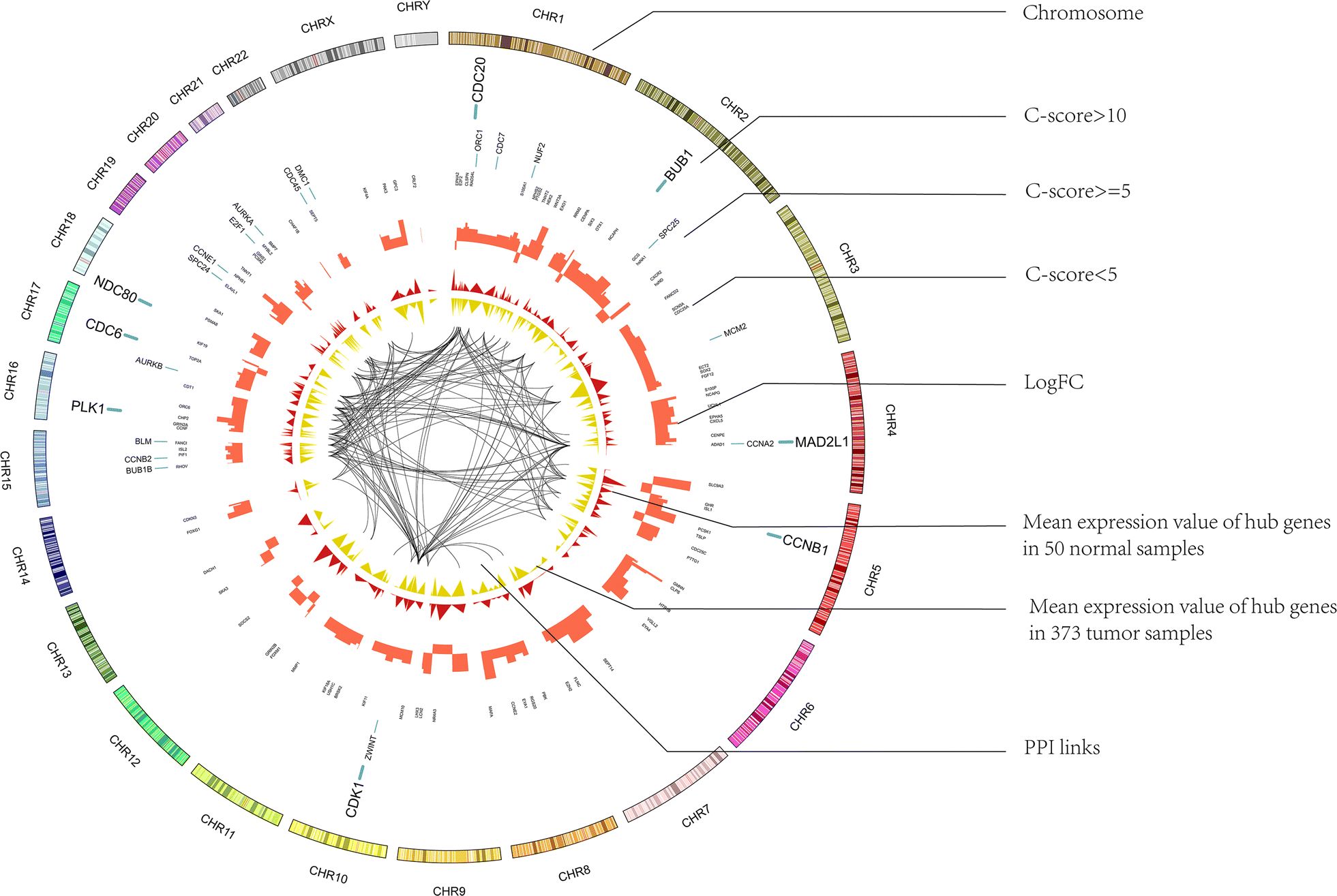 Fig. 3