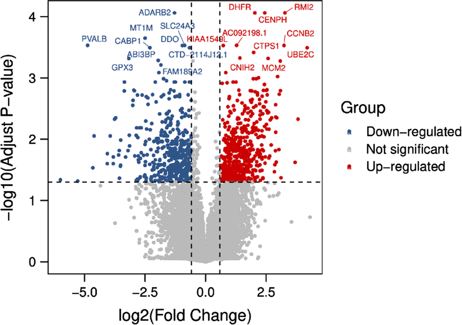 Fig. 7